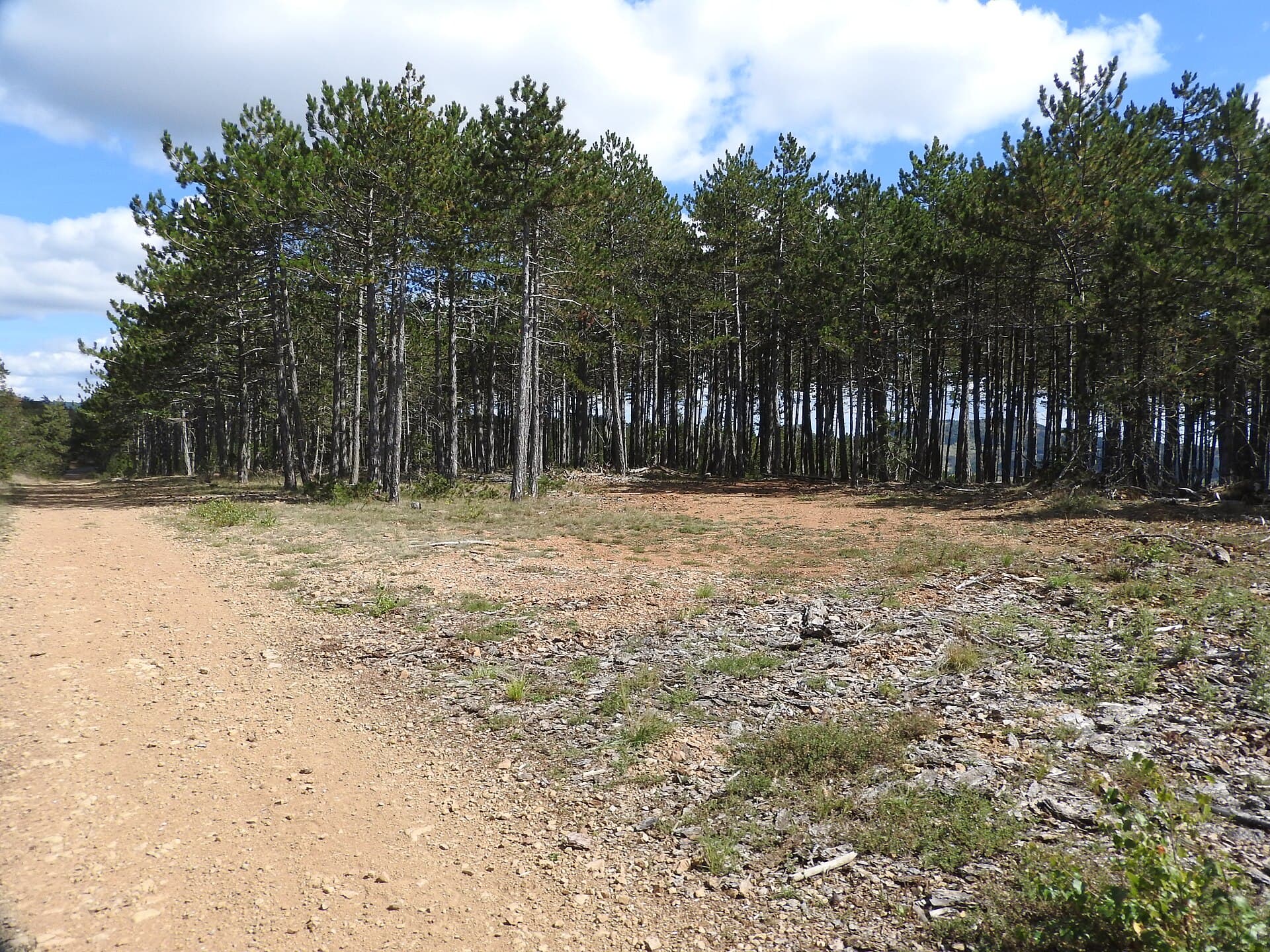 Massif Central — Ridge Bridle Path Ispagnac Col de Montmirat clearing 6345