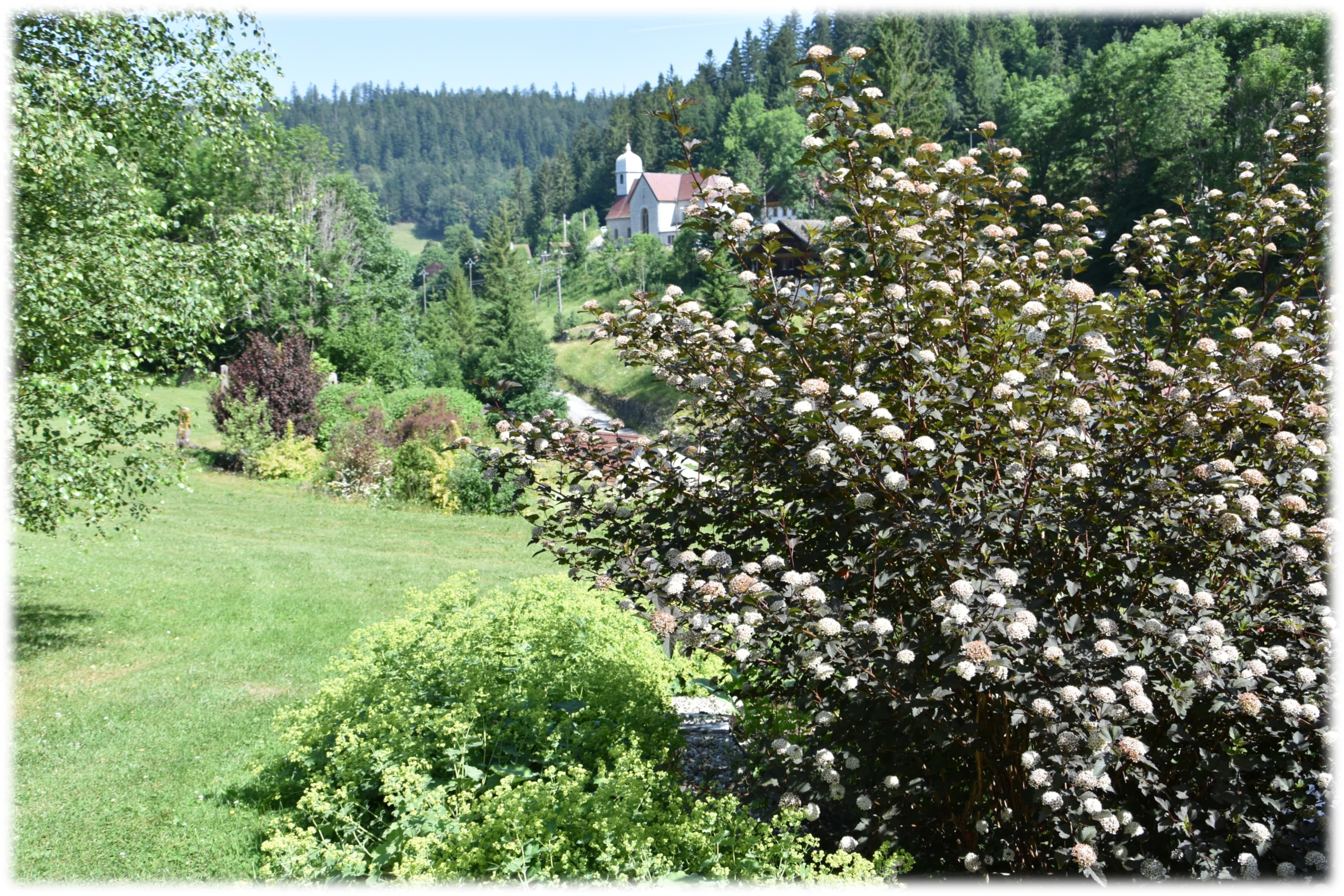 Visite guidée des jardins d'altitude