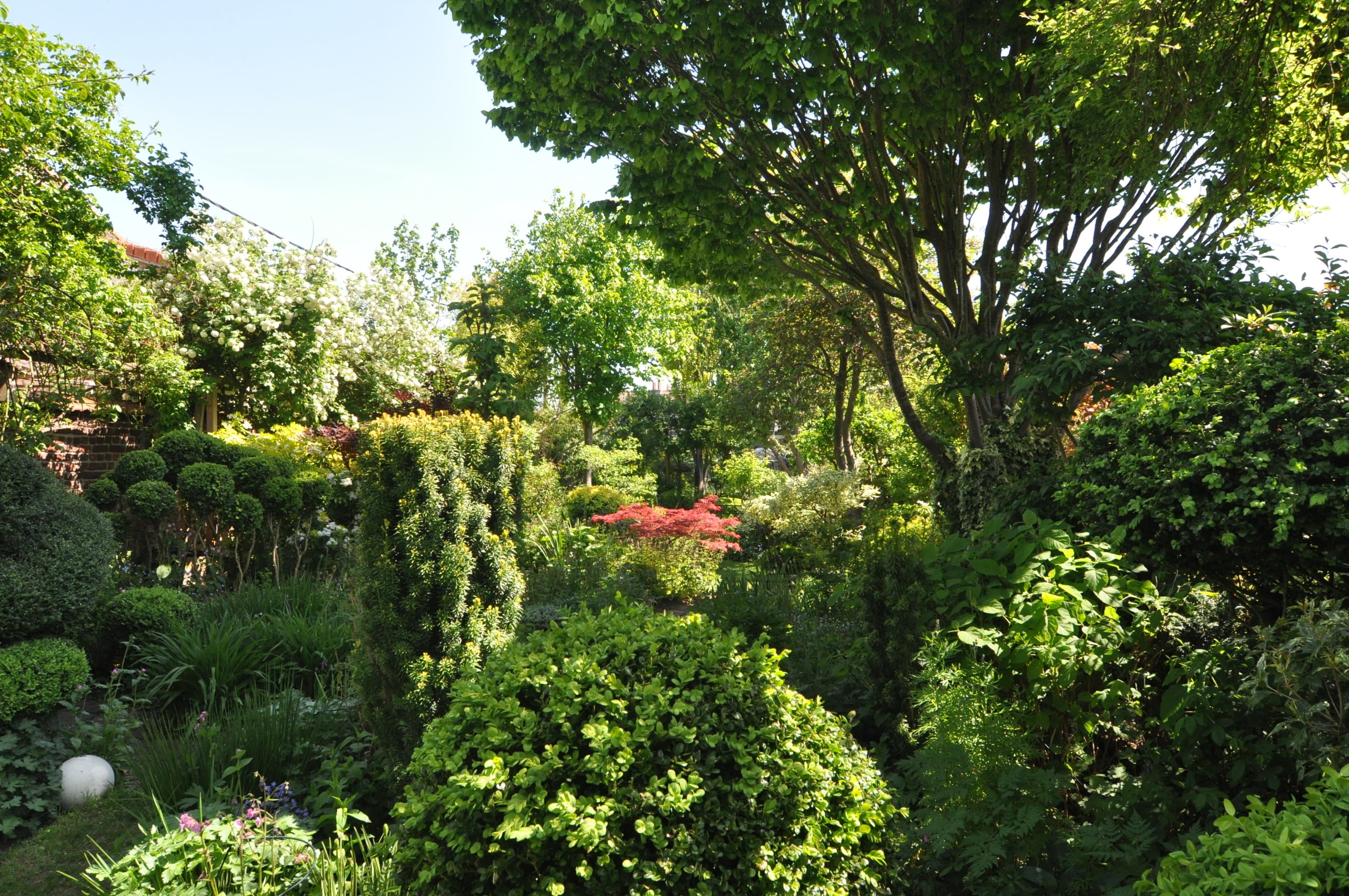 Visite découverte du jardin des petits sentiers