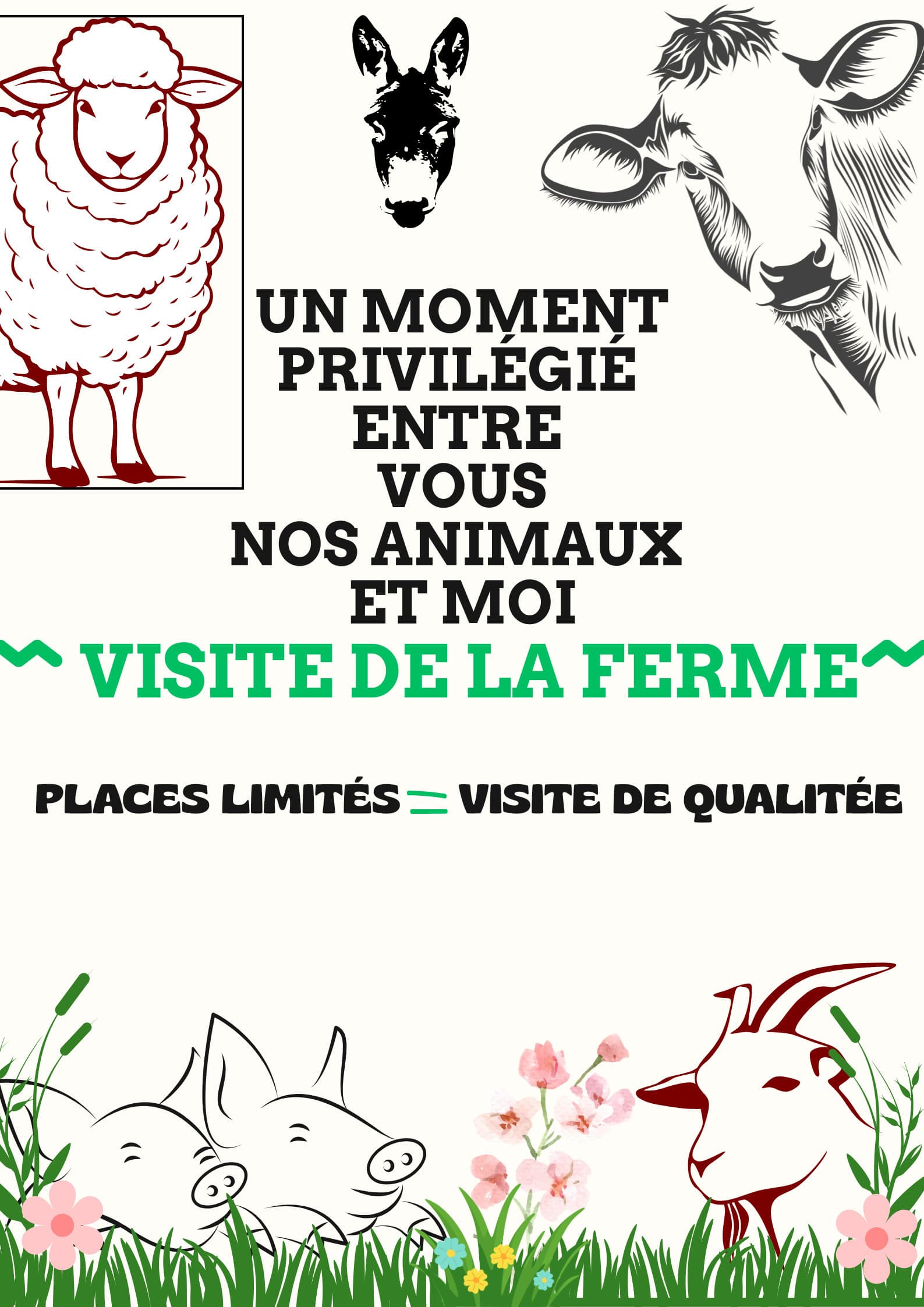 Visite guidée de la ferme de Grémi