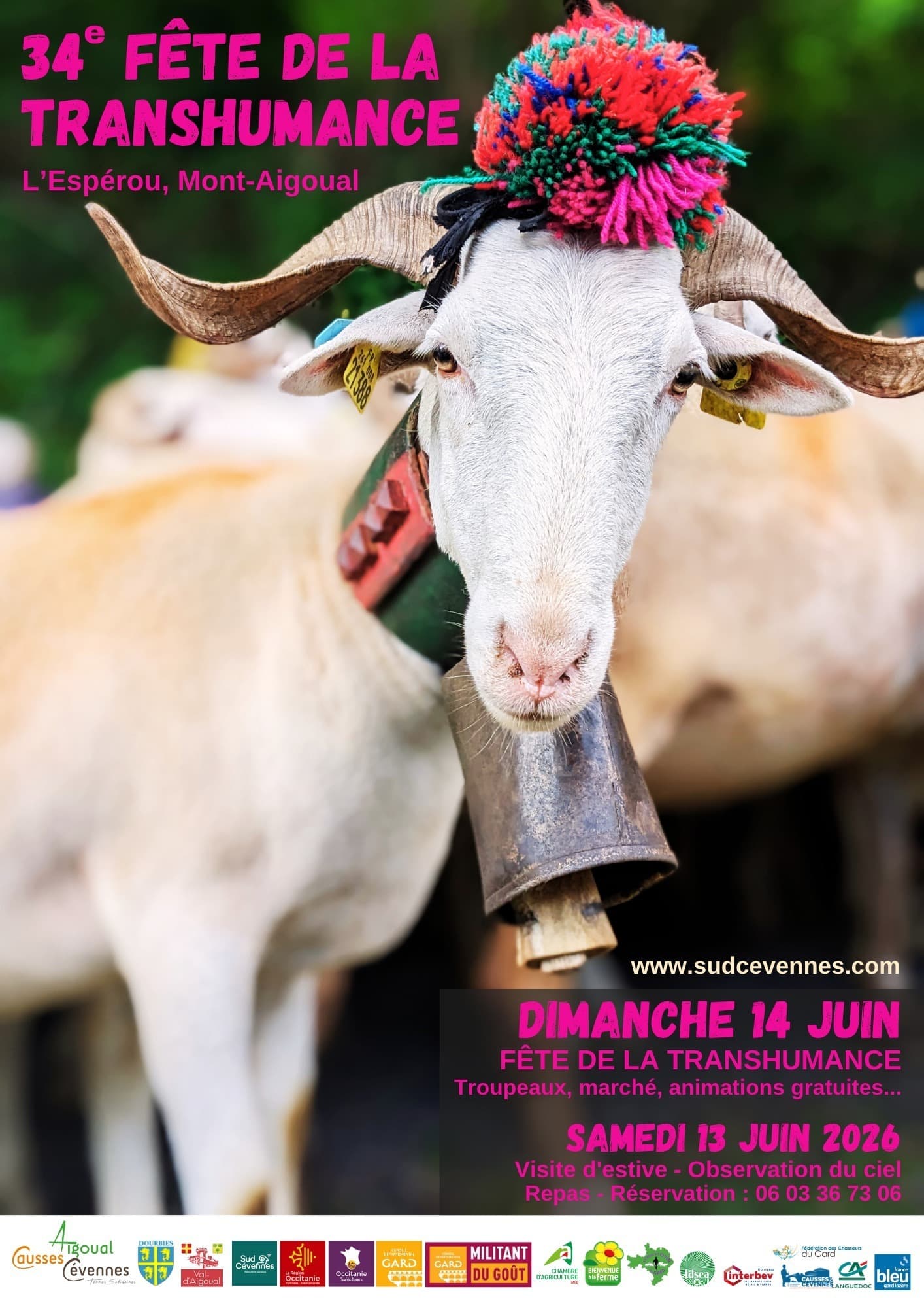 Fête de la Transhumance