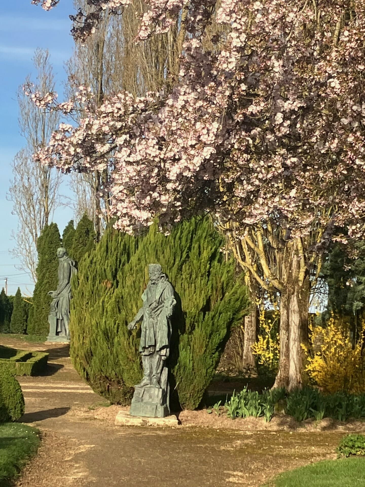 Visite commentée du jardin