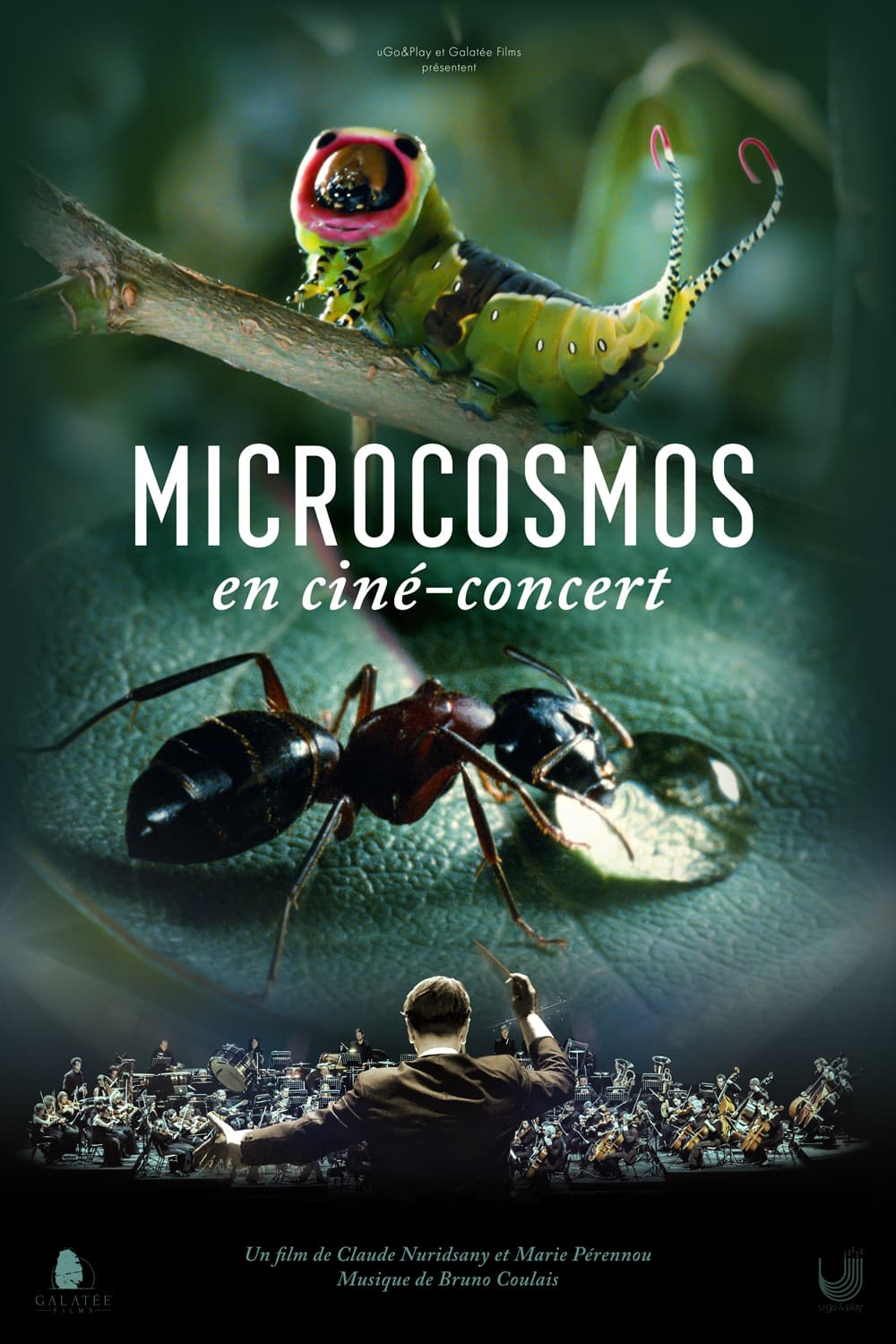 Ciné-concert Microcosmos, le peuple de l’herbe