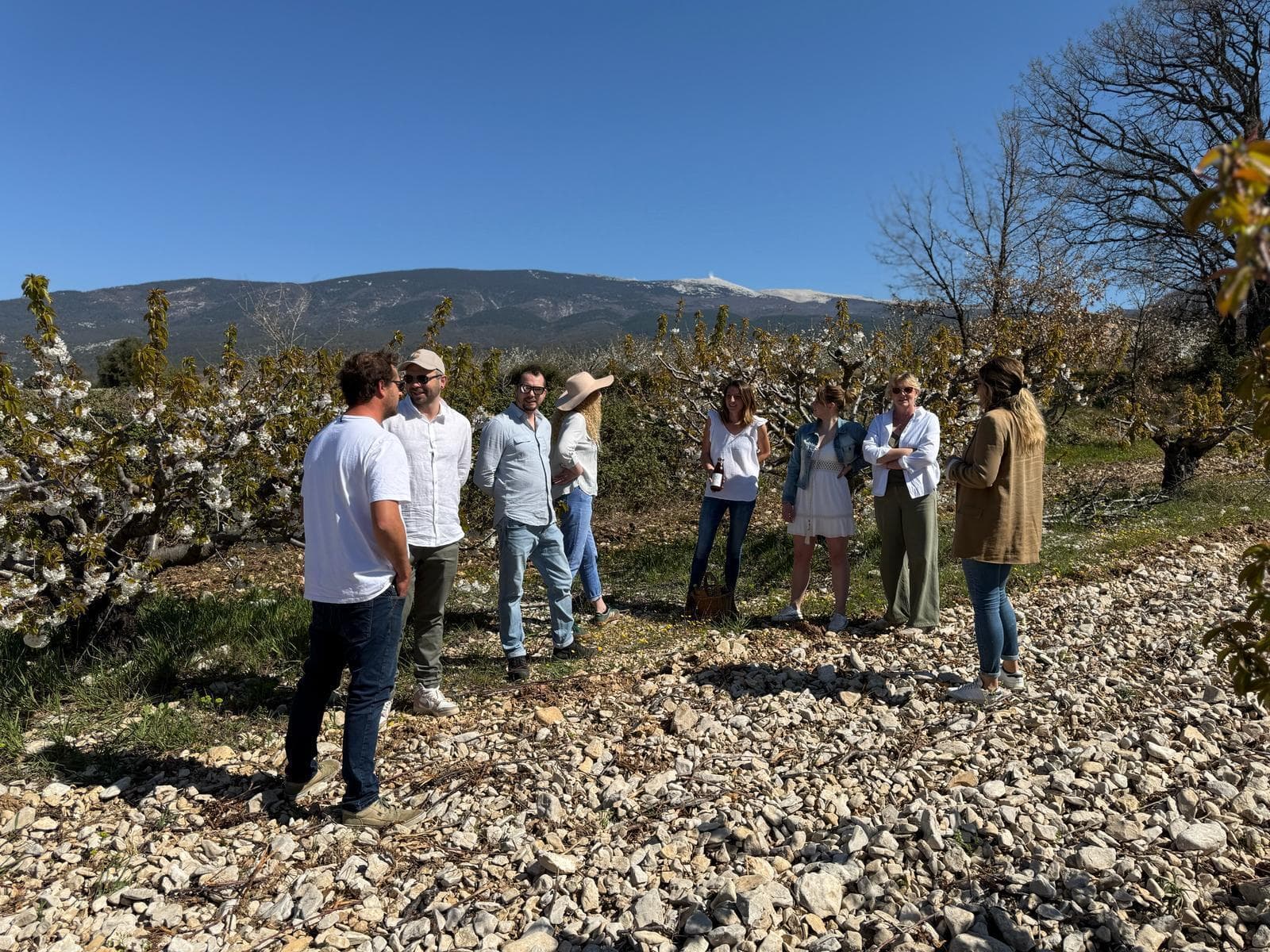 Autocueillette de cerises et ferme pédagogique