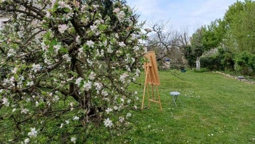 Cadre de vue ou vues de cadres, les surprises de l’œil au jardin