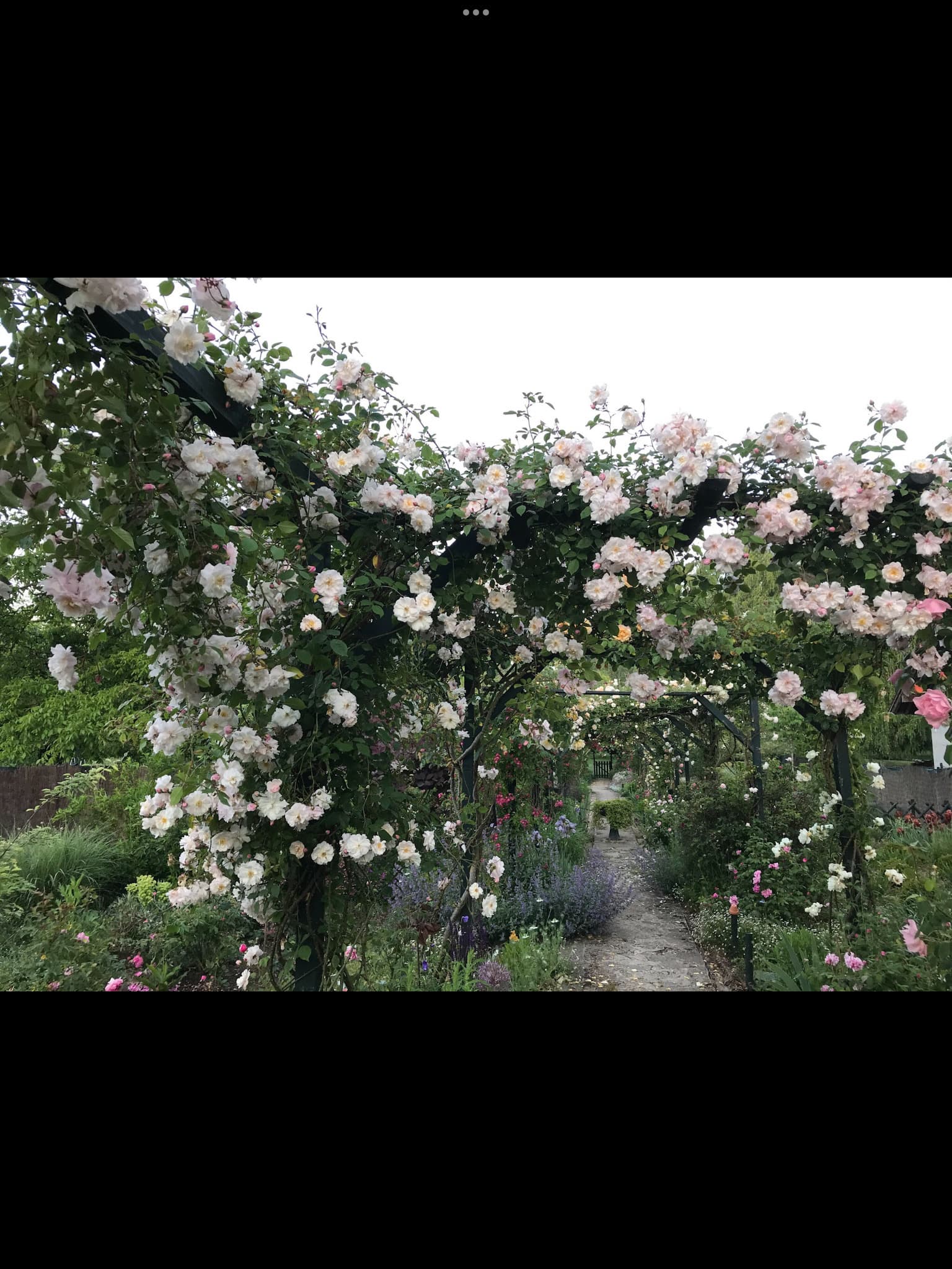 Visite libre du jardin des glandelles