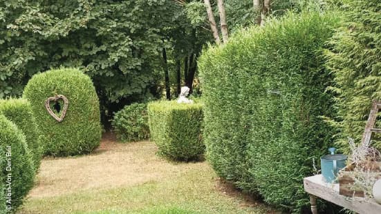 Les jardins de Mâcon