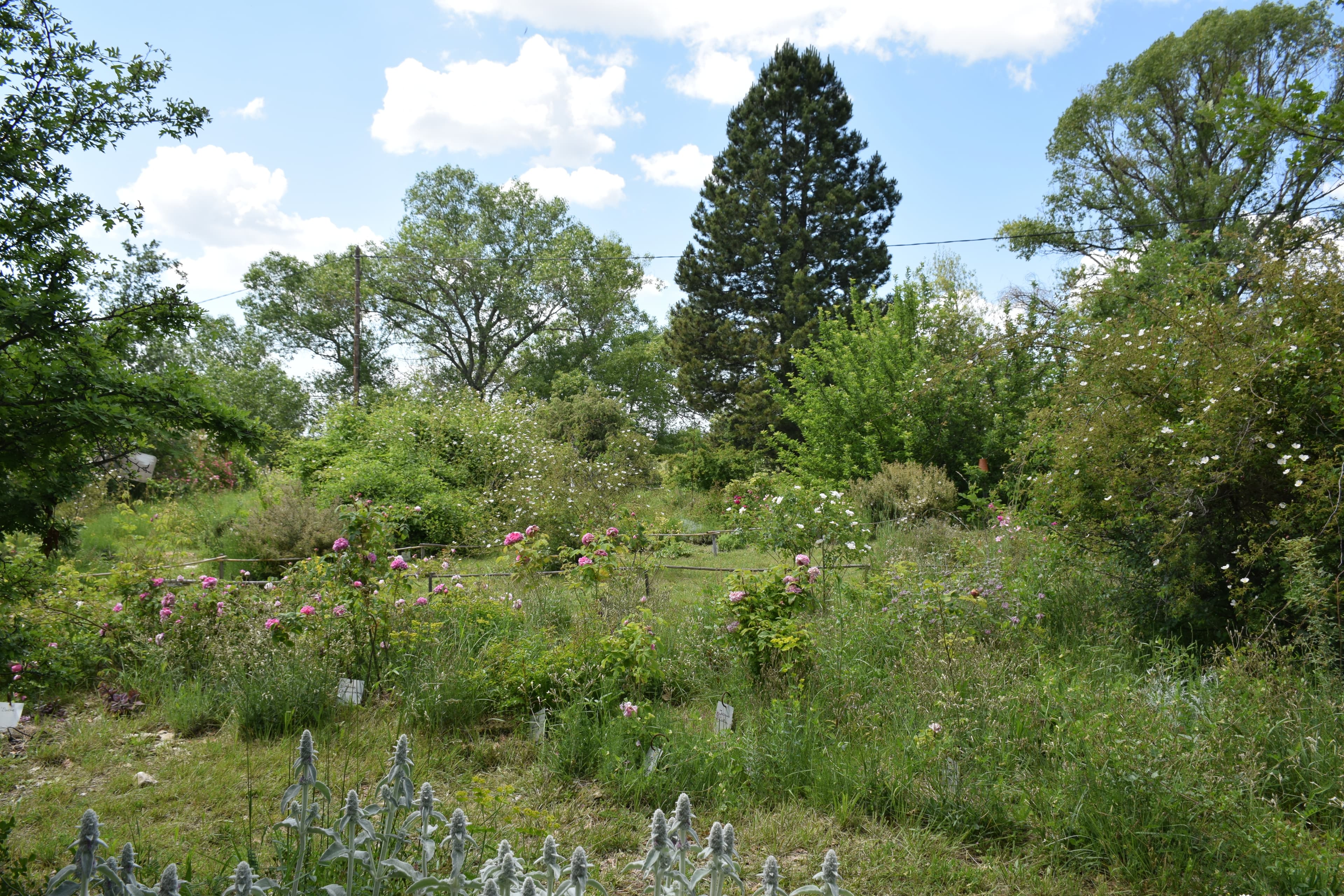 Les jardins romains