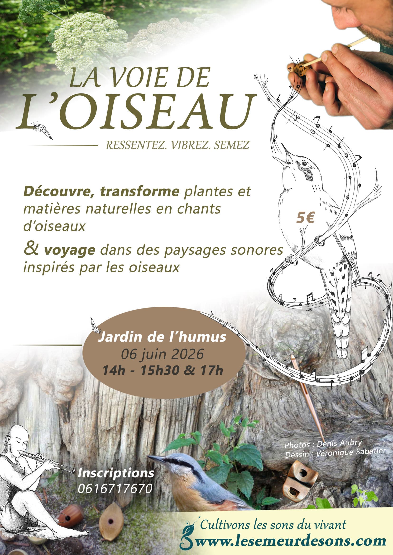 La voie de l'oiseau, avec le Semeur de Sons