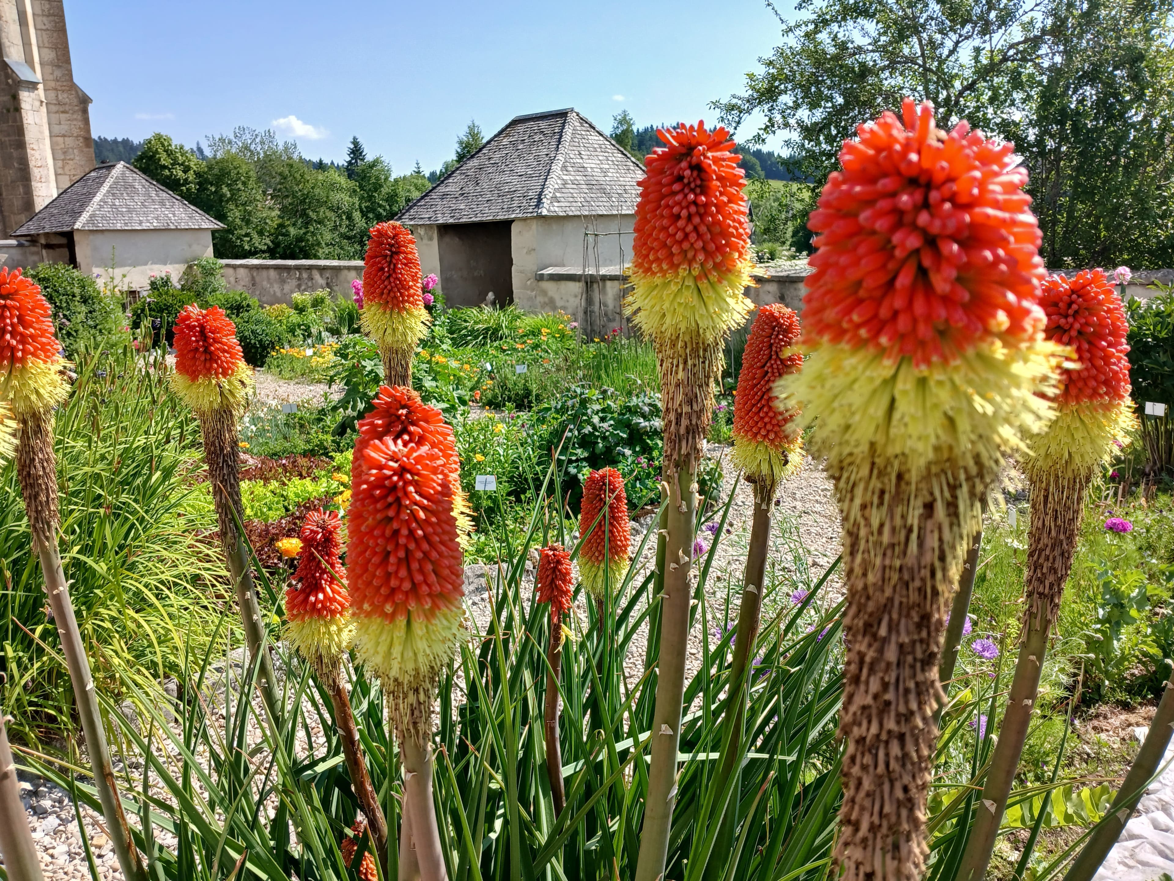 Le jardin nous en met plein la vue