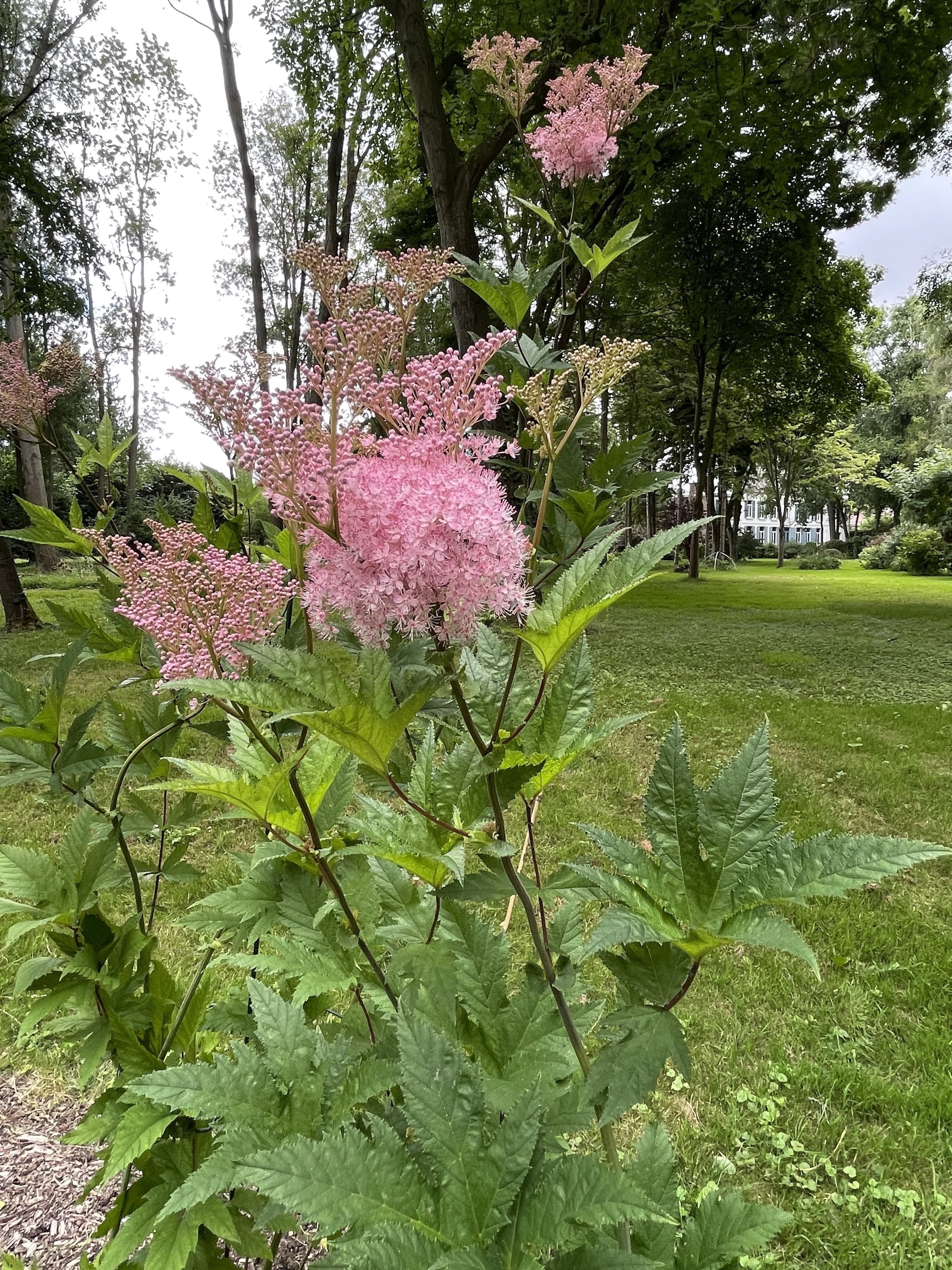 Visite guidée du Manoir du Pont-de-Metz et son jardin