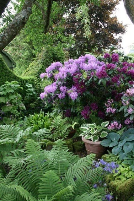 Jardin de Gilbert Folschette - Oppe Gaardepäertchen