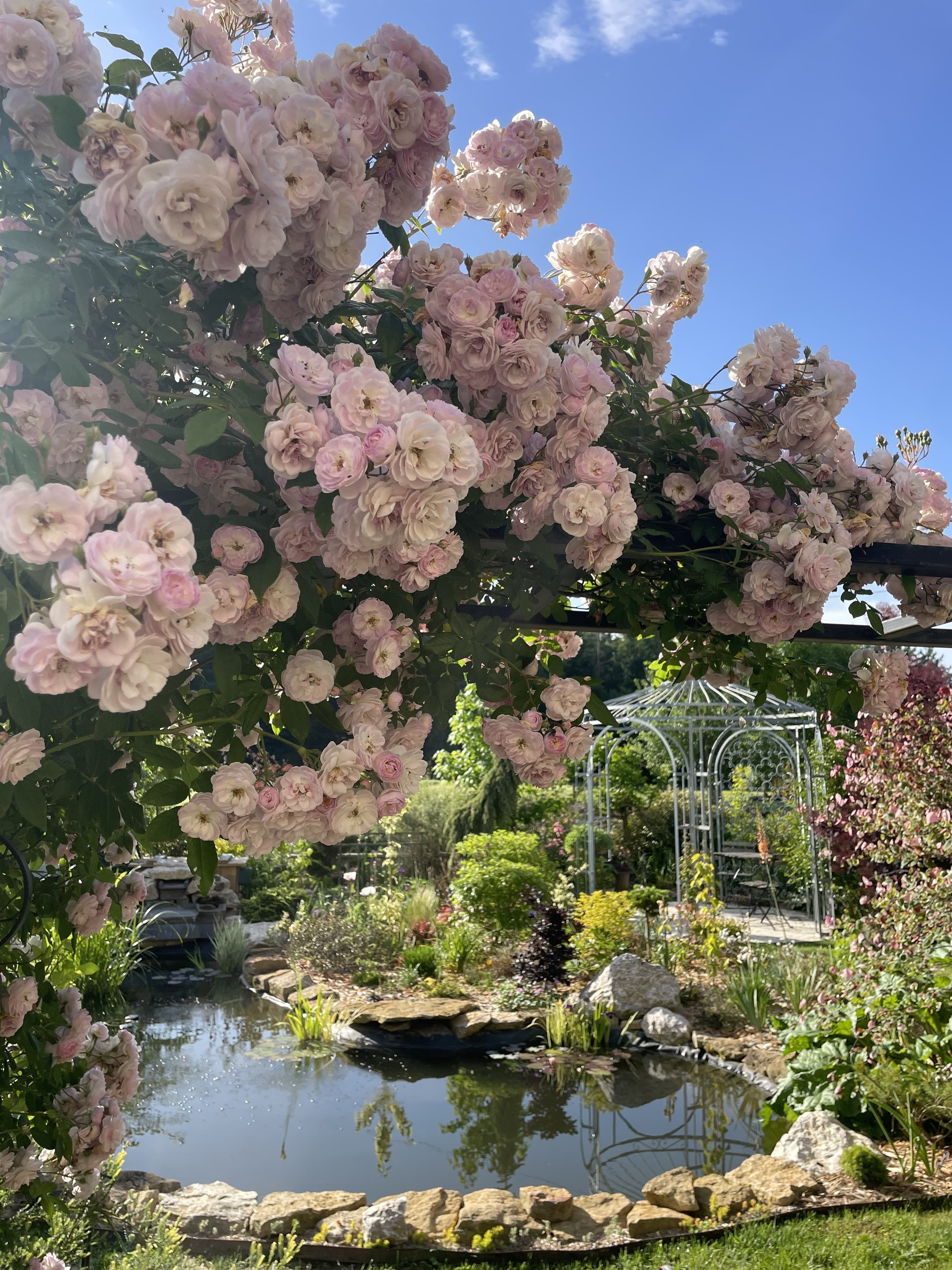 Ouverture du jardin de la Piroudotte