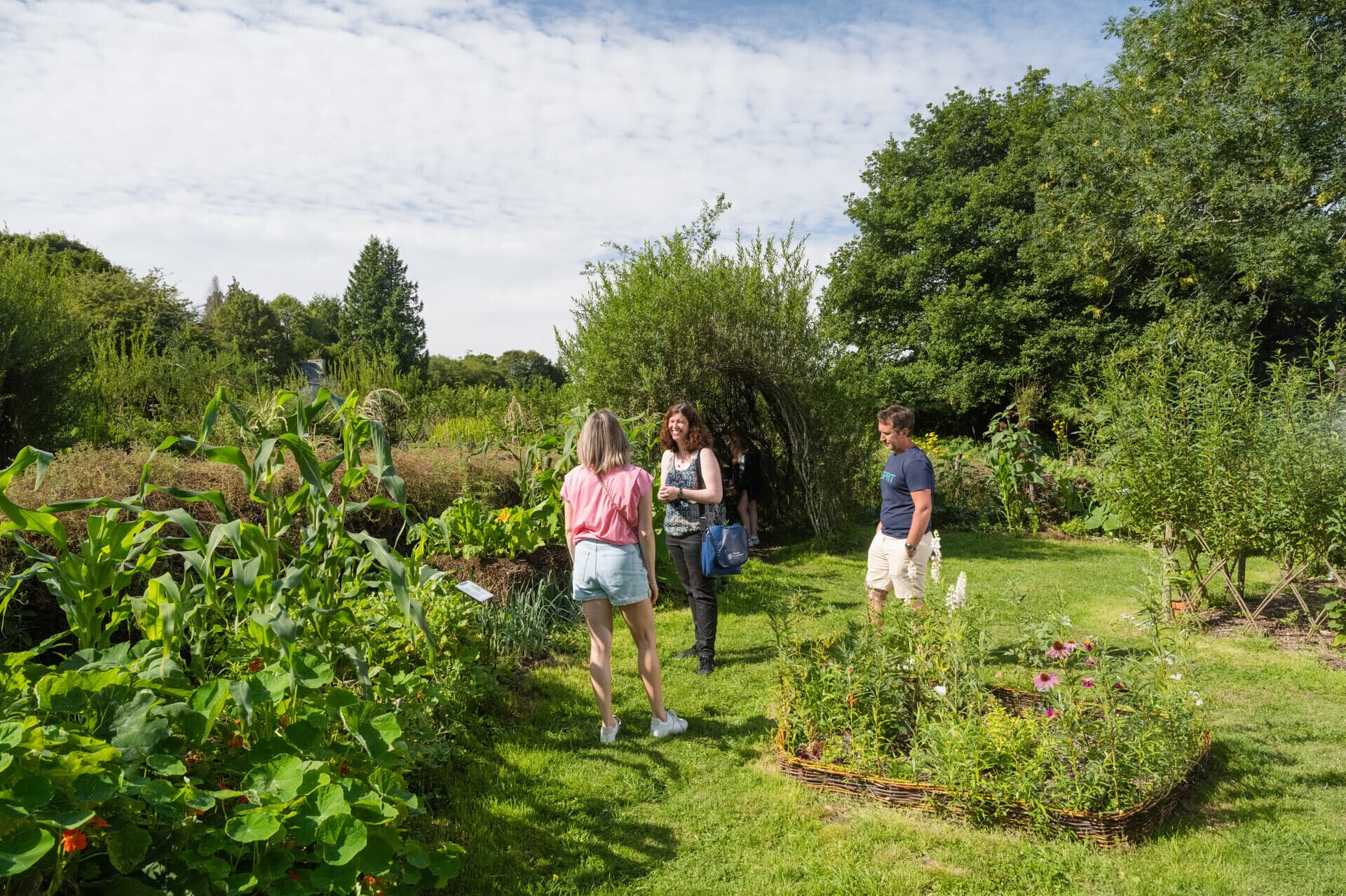 Défi du jardinier