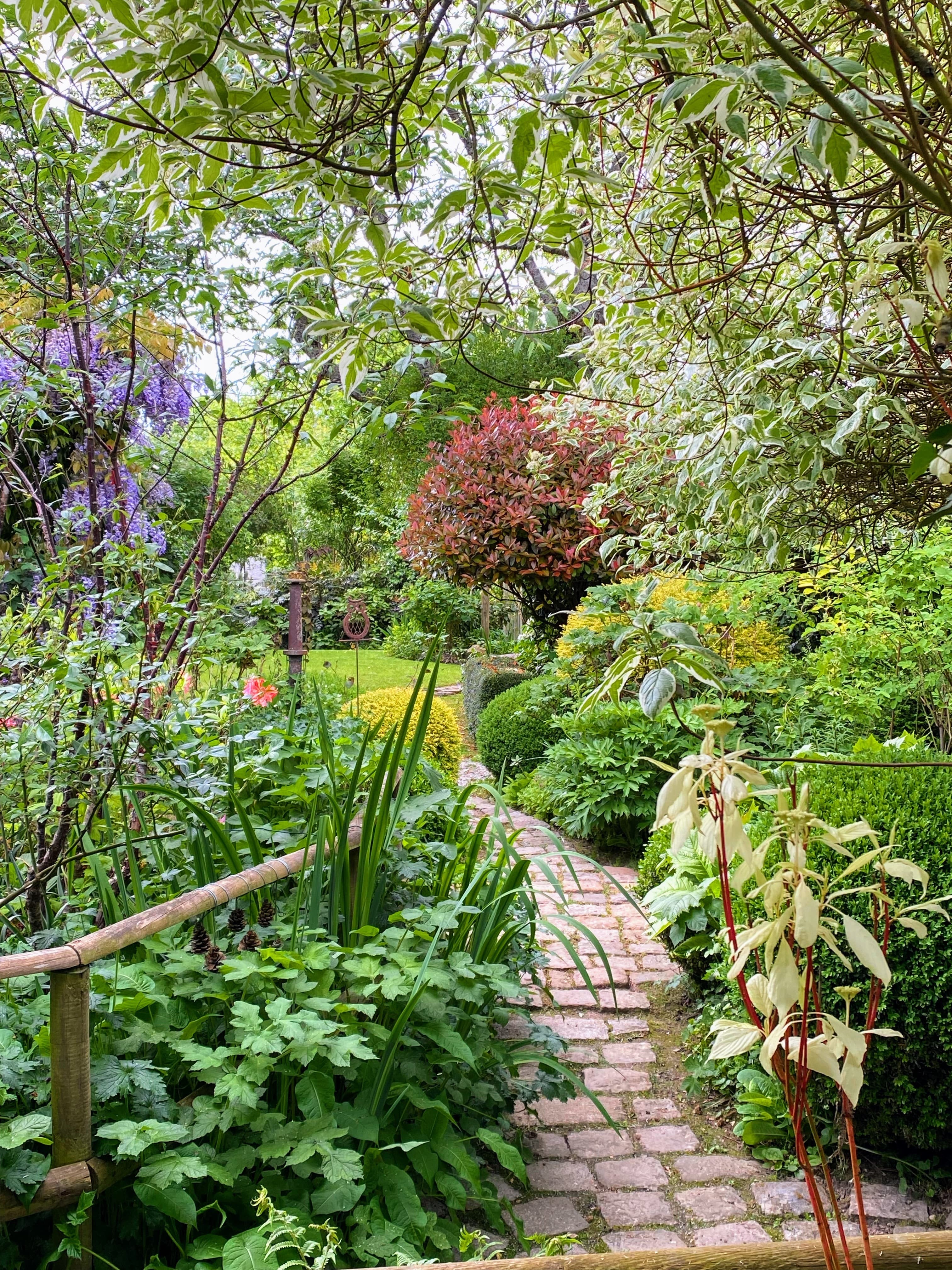 Visite libre du jardin