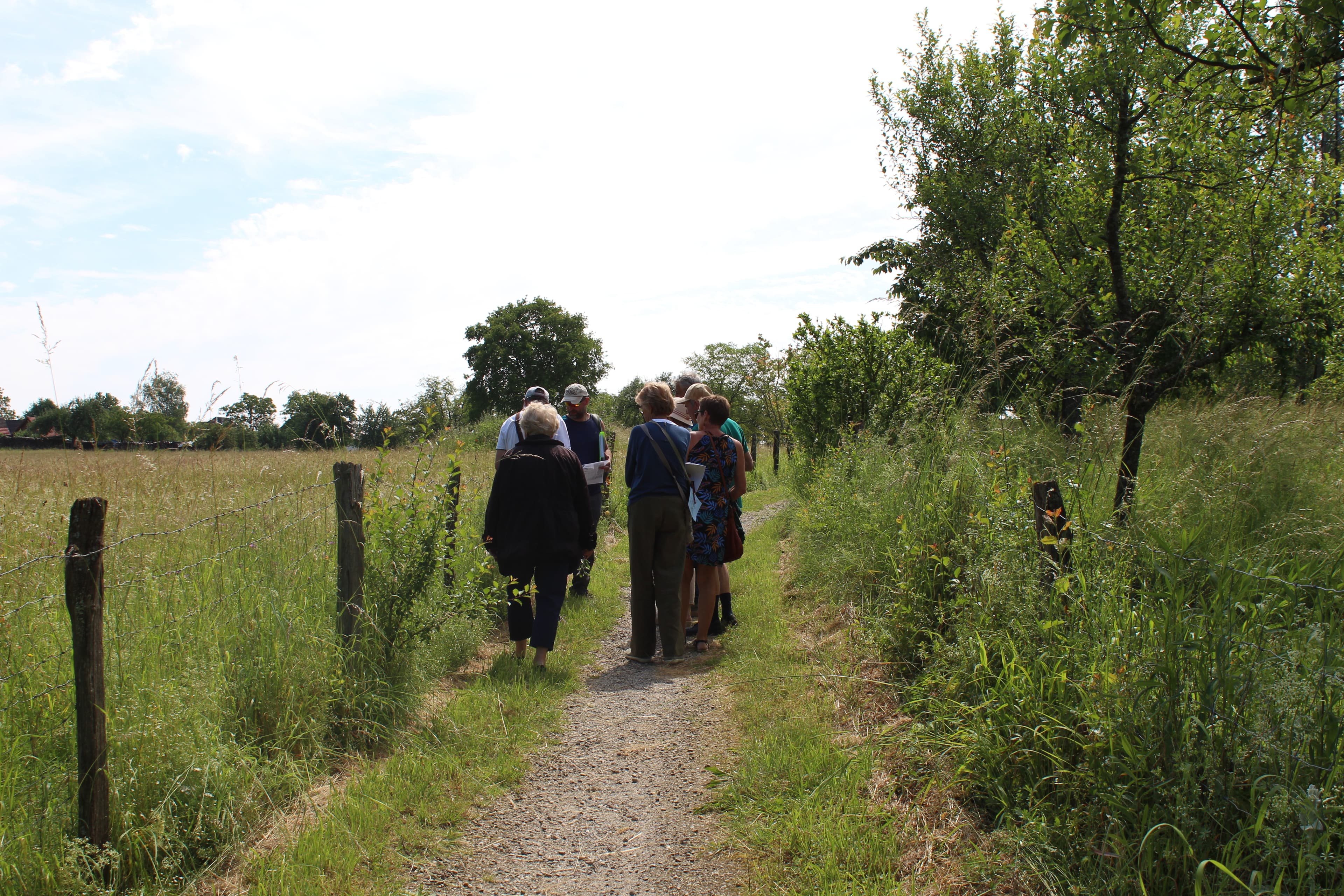 Jardins de roses, d'abeilles et de groseilles : Le chemin des herbes folles