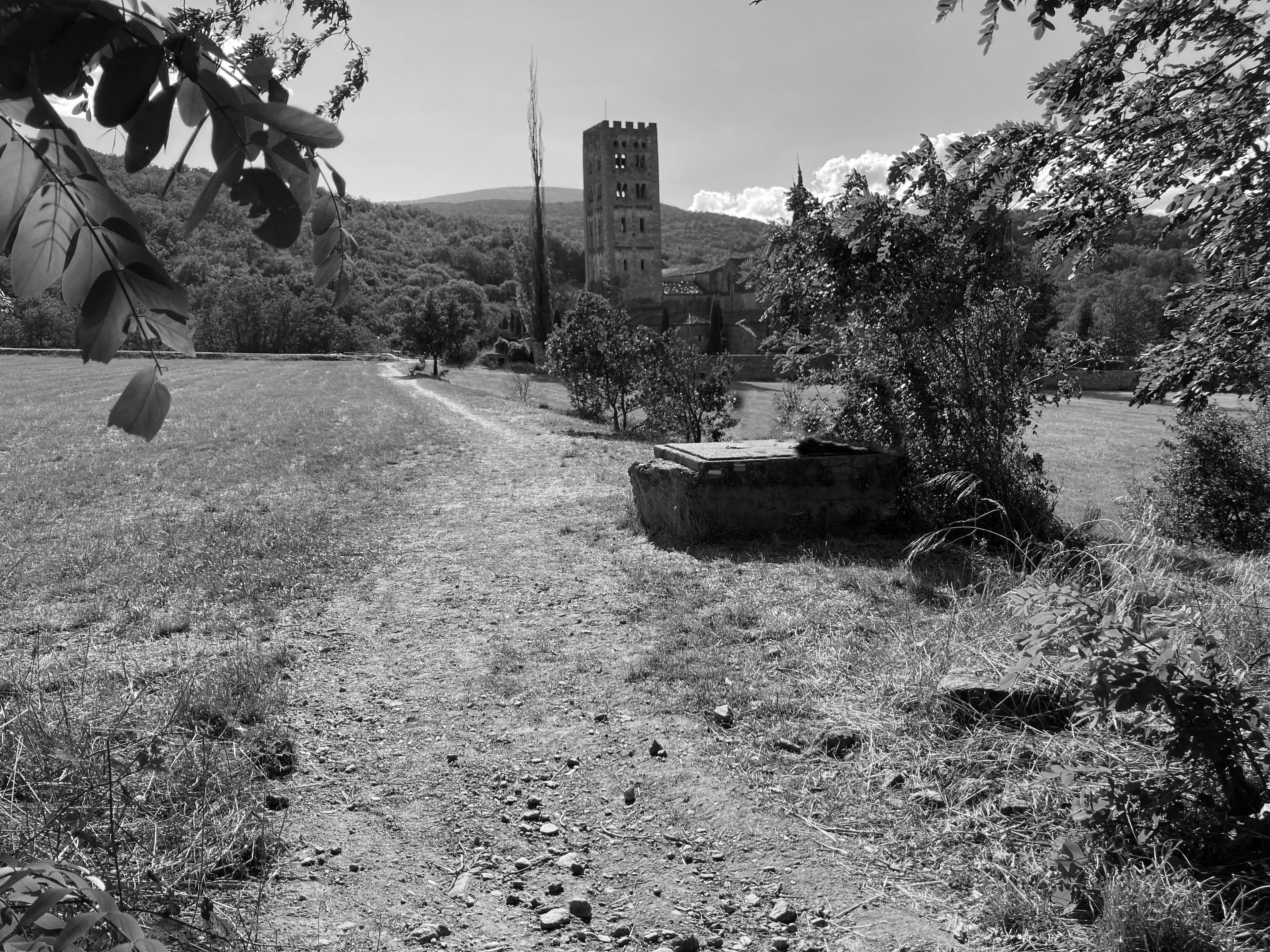 Rendez-vous aux jardins : atelier photographie de paysages
