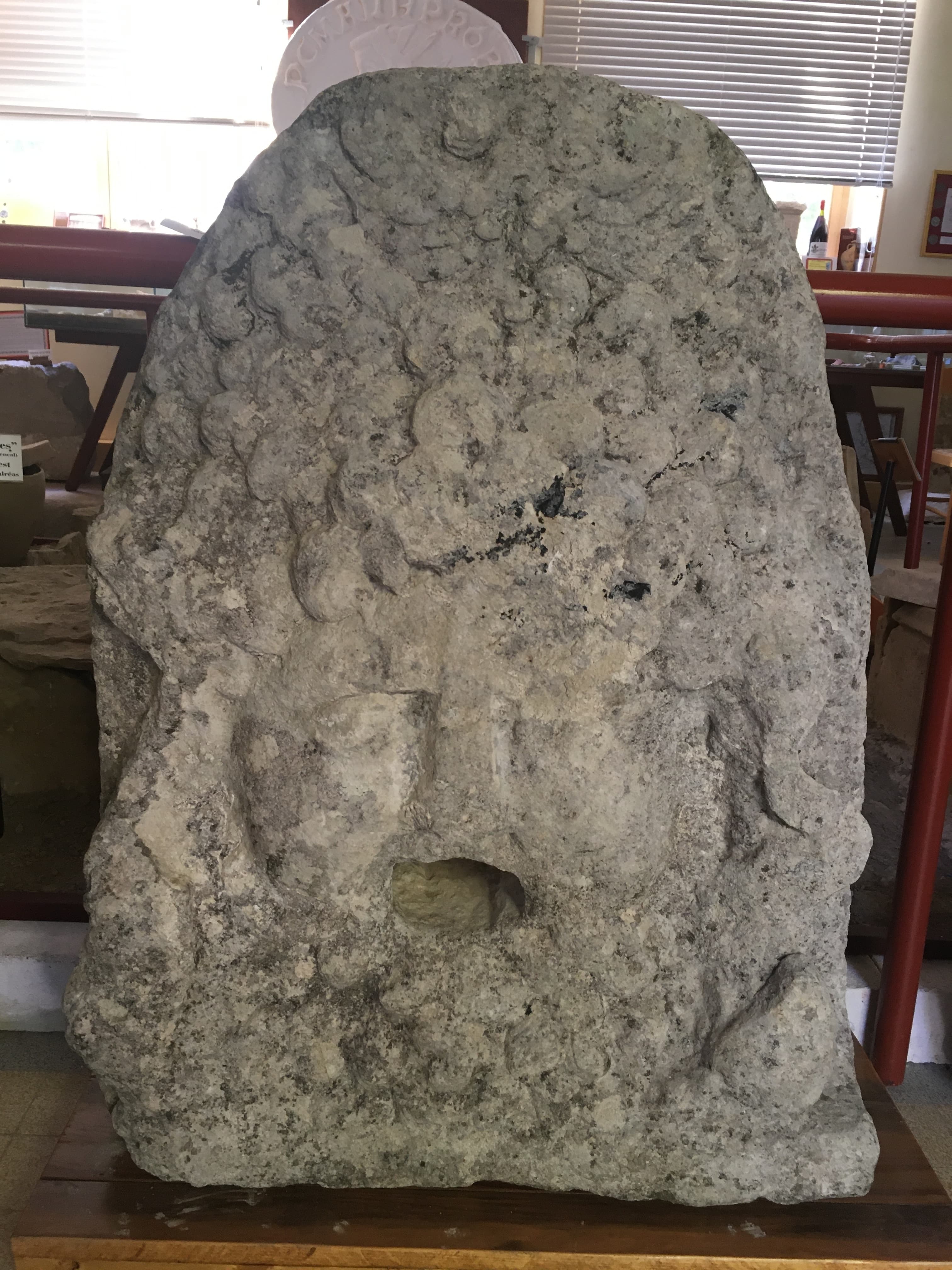 Visite des salles d'archéologie et paléontologie.