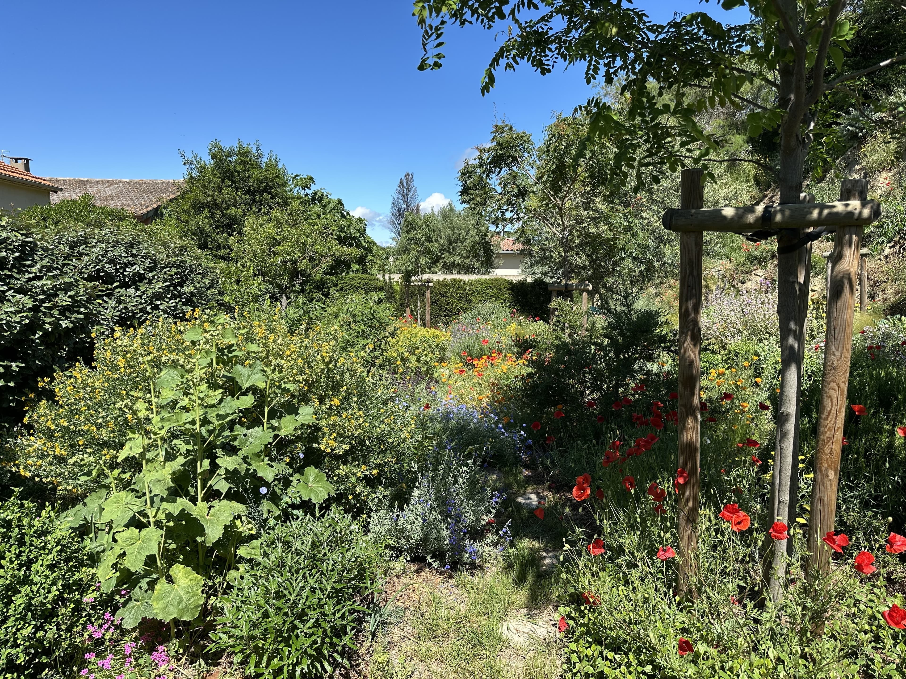 Visite d'un jardin privé à Capestang