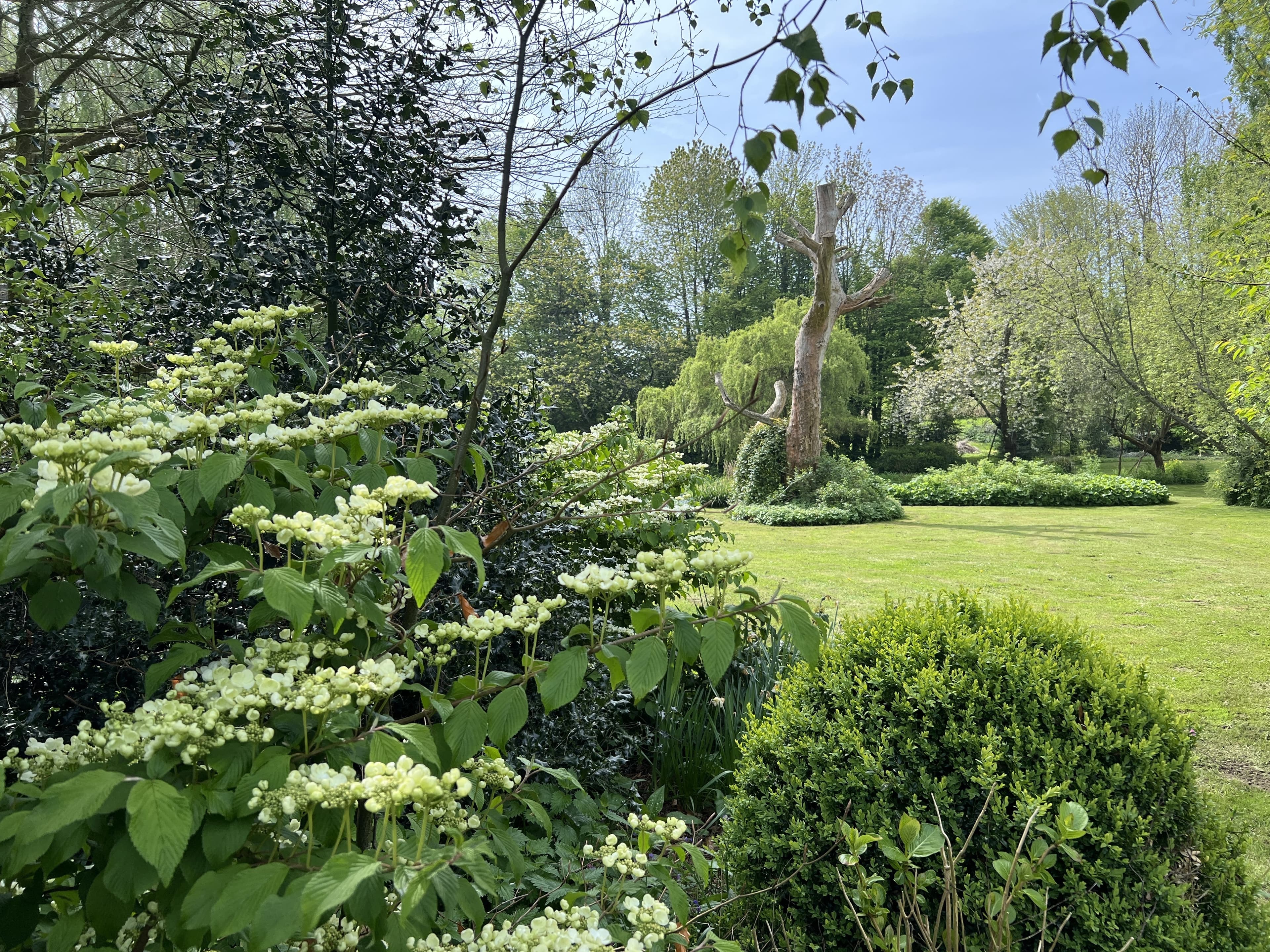 Visites découvertes au jardin du Prieuré de Saint-Arnoult