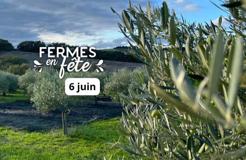 Visite de l'huilerie