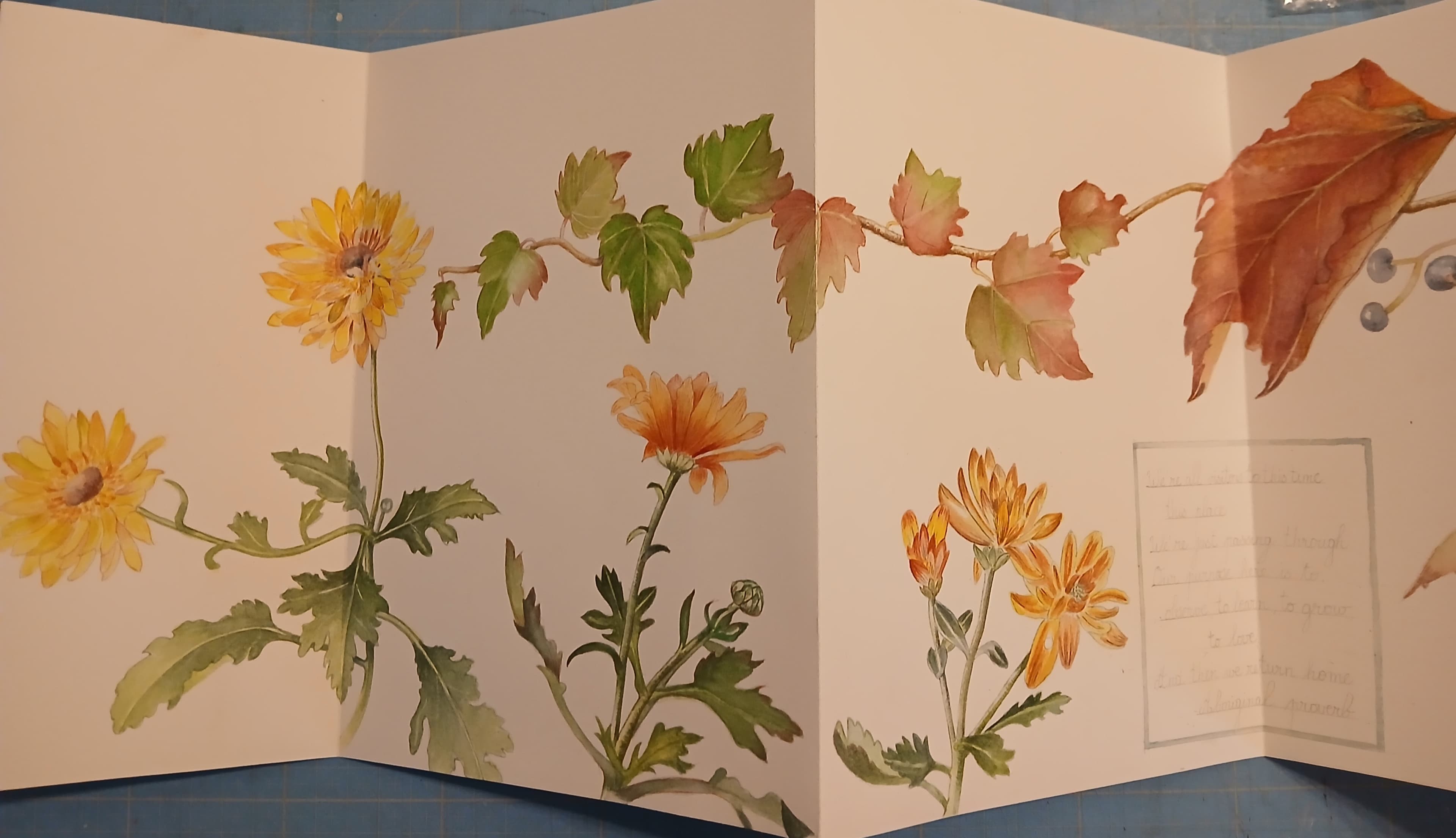 Exposition de carnets d'aquarelles botaniques