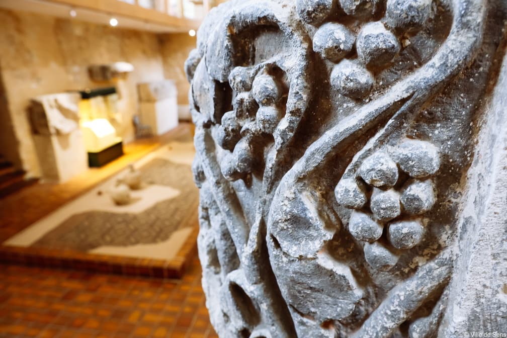Visite thématique "À la découverte de l'archéologie"