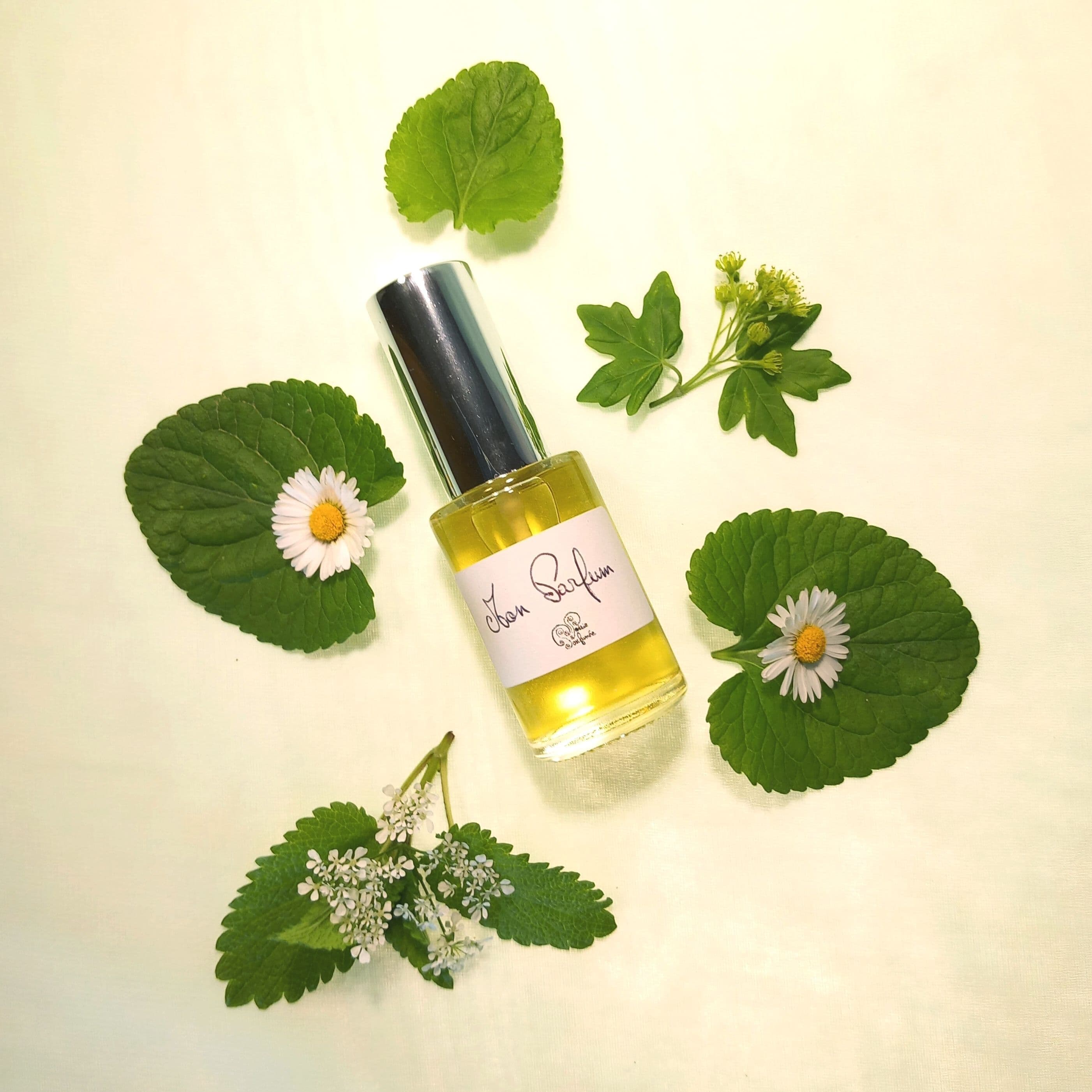 Créer son parfum personnalisé 100% naturel - Les Plans (34)
