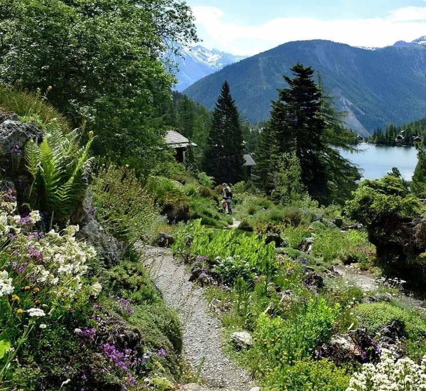 Rendez-vous aux jardins à Flore-Alpe