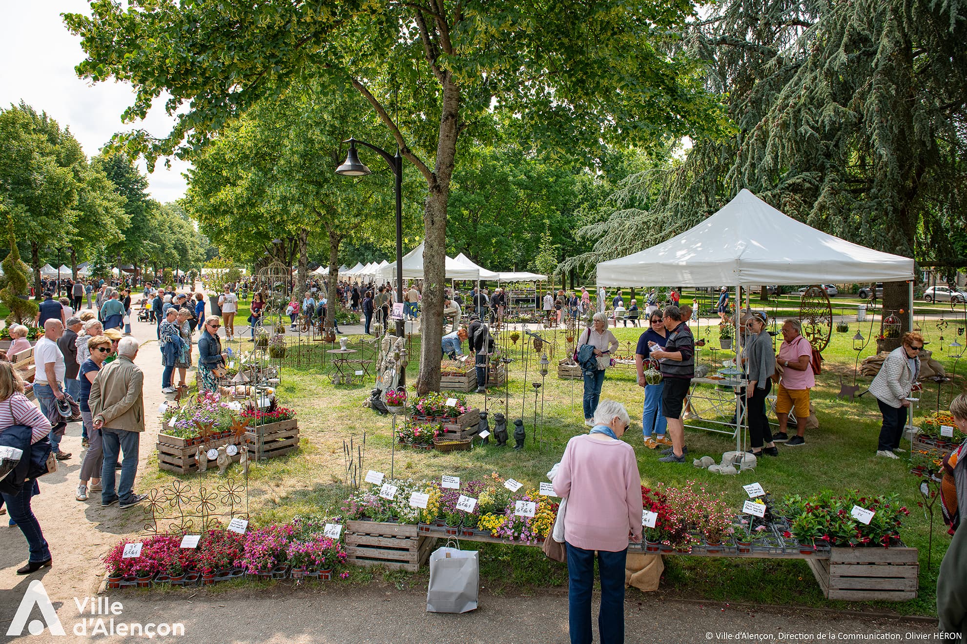 Visite libre du parc