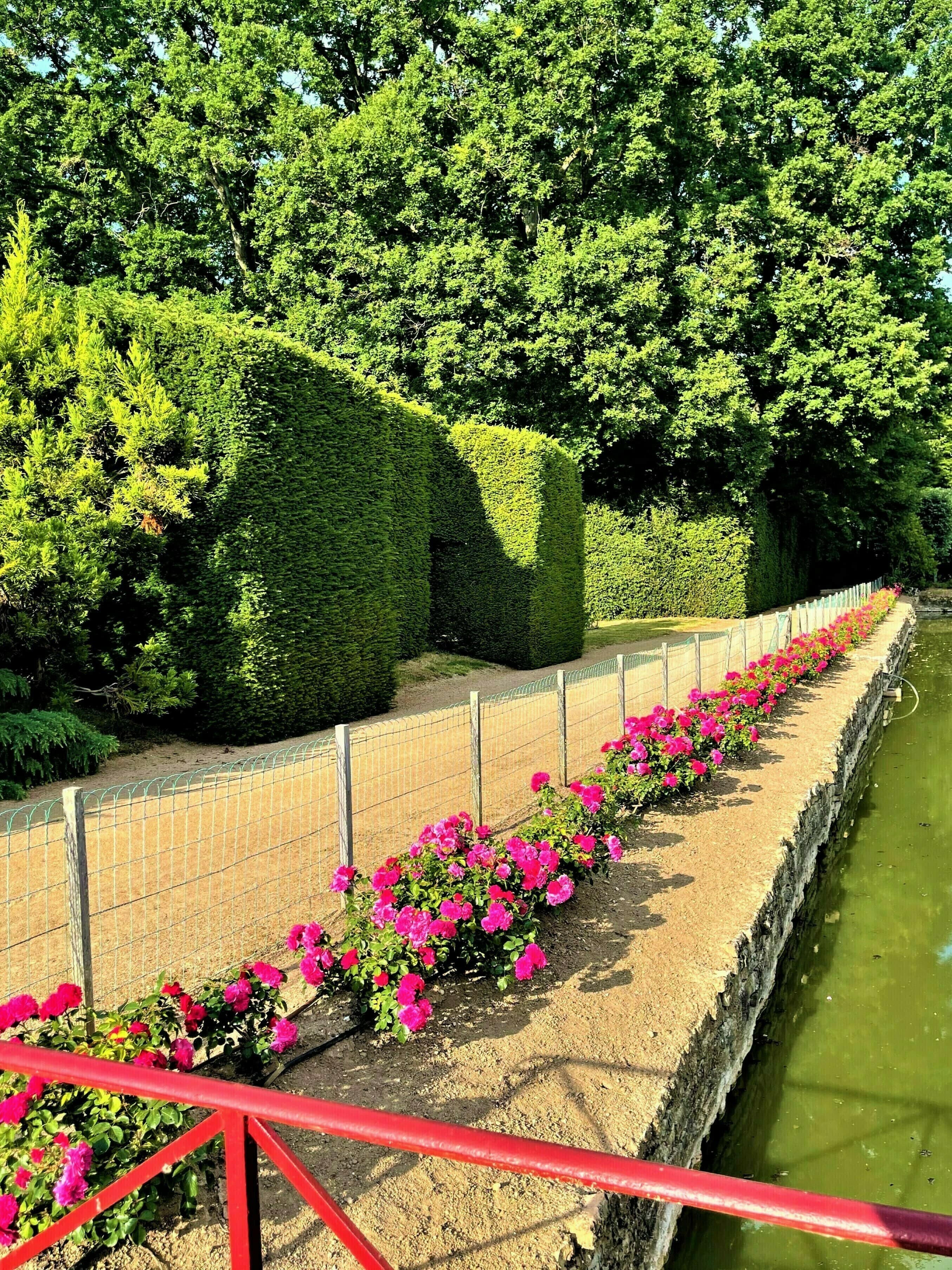Découverte du parc à l'anglaise du château de Saint-Germain-lès-Buxy