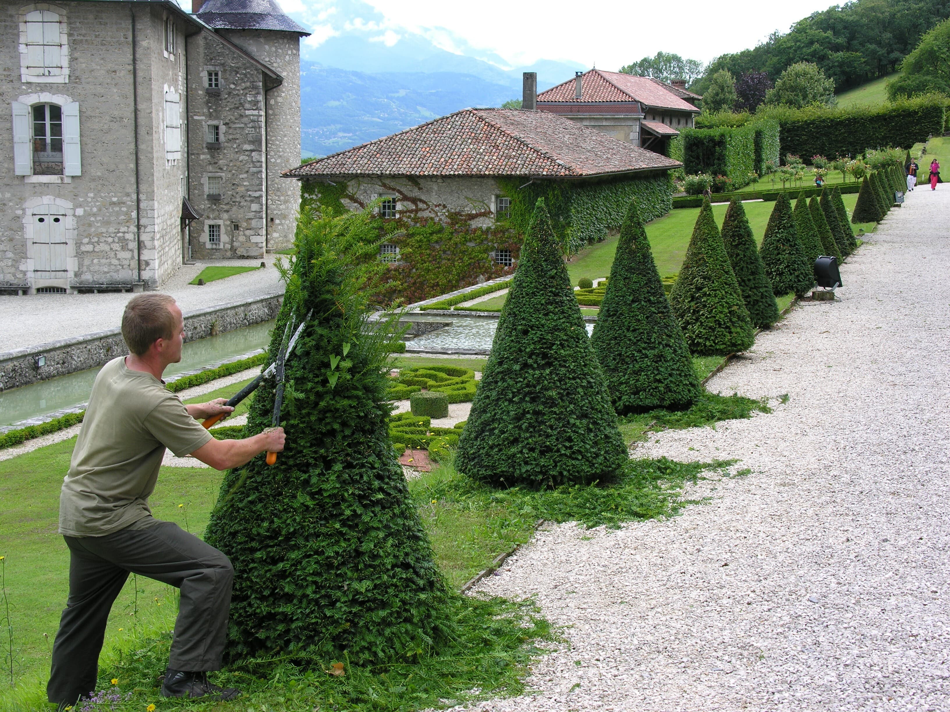 Regards de jardinier. Atelier de taille des végétaux