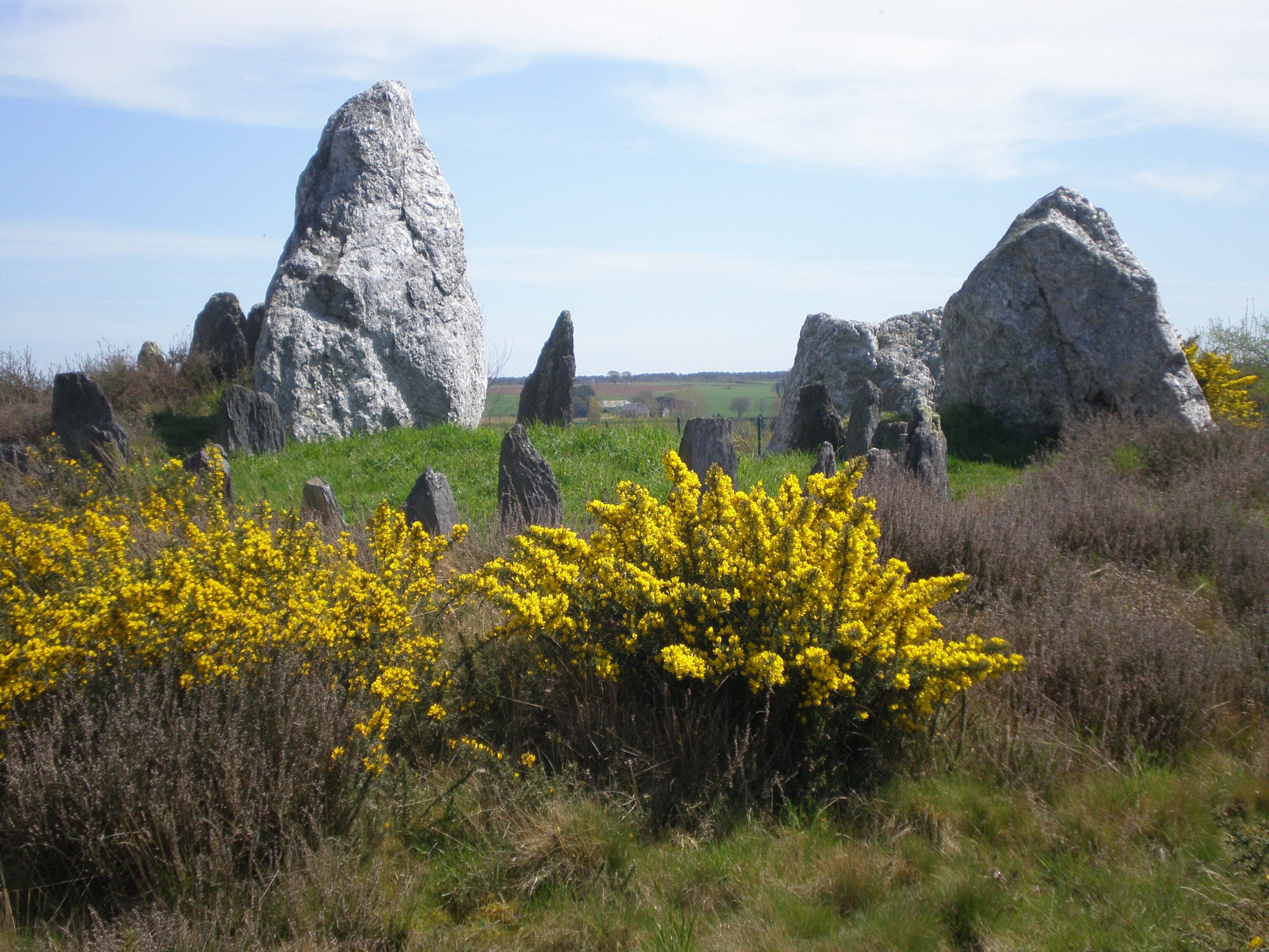 Visite : Château Bû et Demoiselles