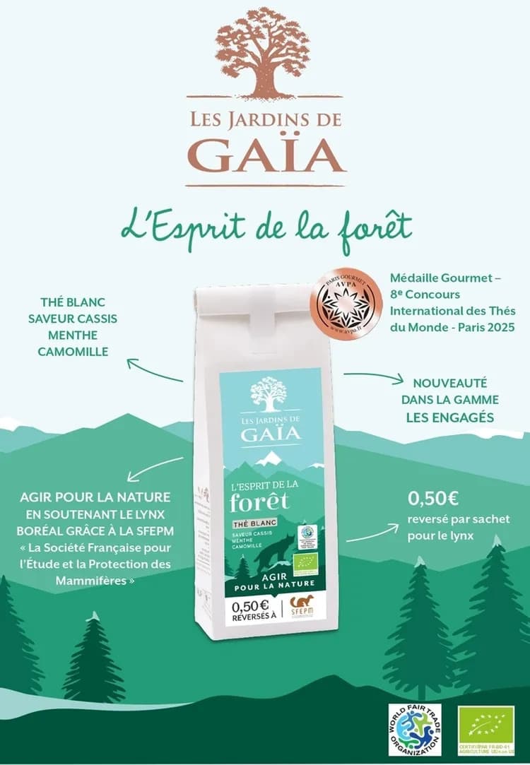 Dégustation du thé du Lynx L'Esprit de la Forêt Thé Blanc-Cassis-Menthe-Camomille