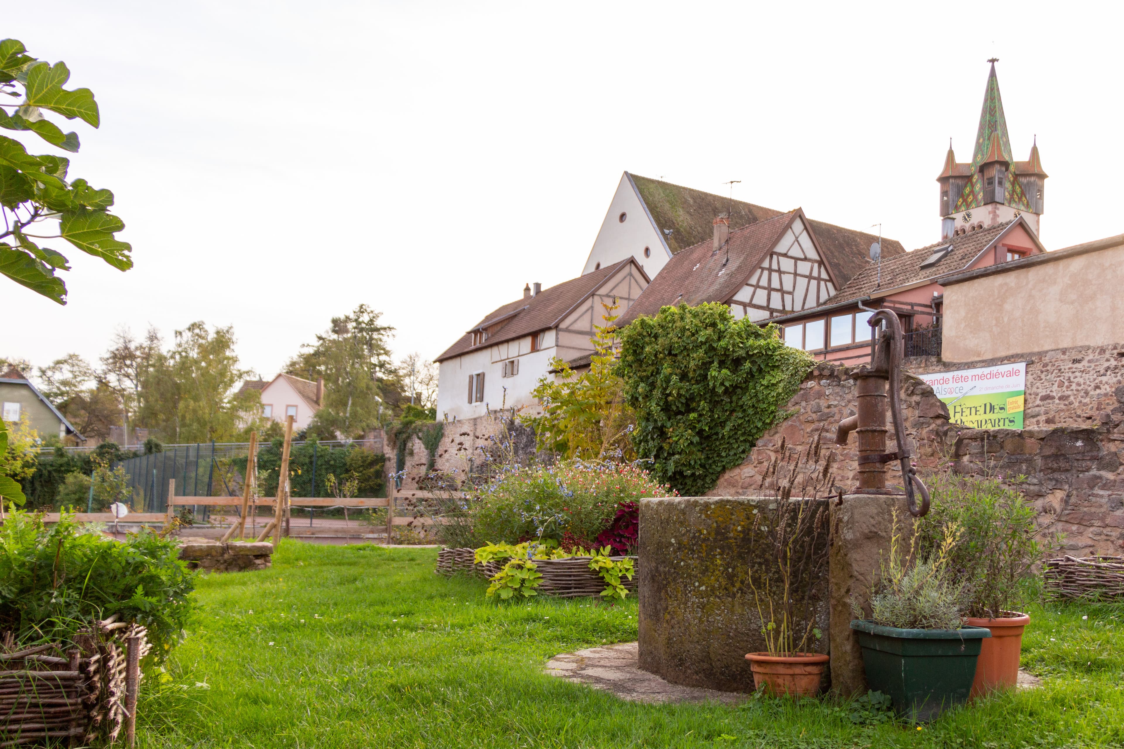 Découverte libre d'un jardin médiéval