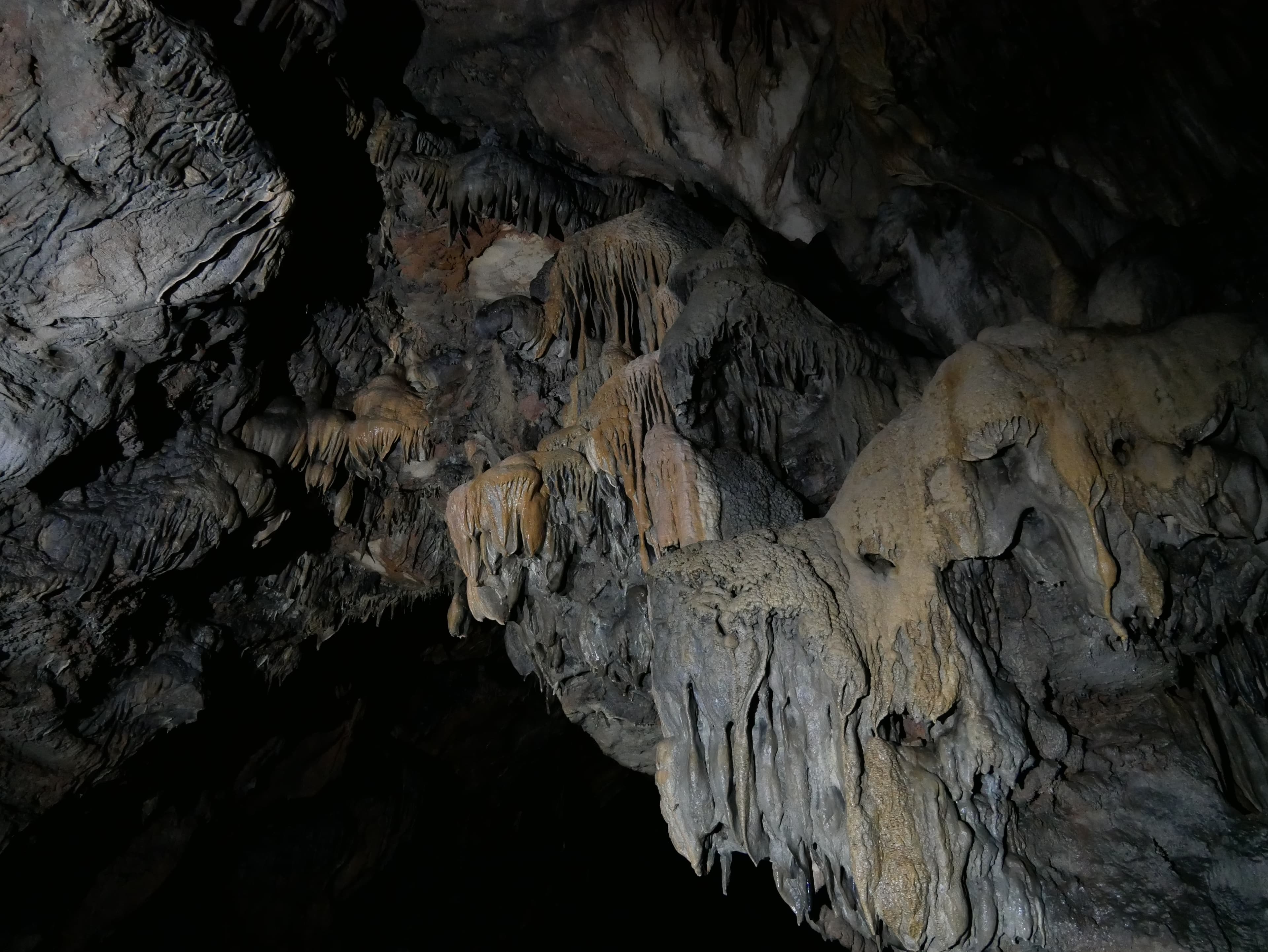 Sous le causse, ça s’affine ! - visite d'une ancienne cave d'affinage souterraine