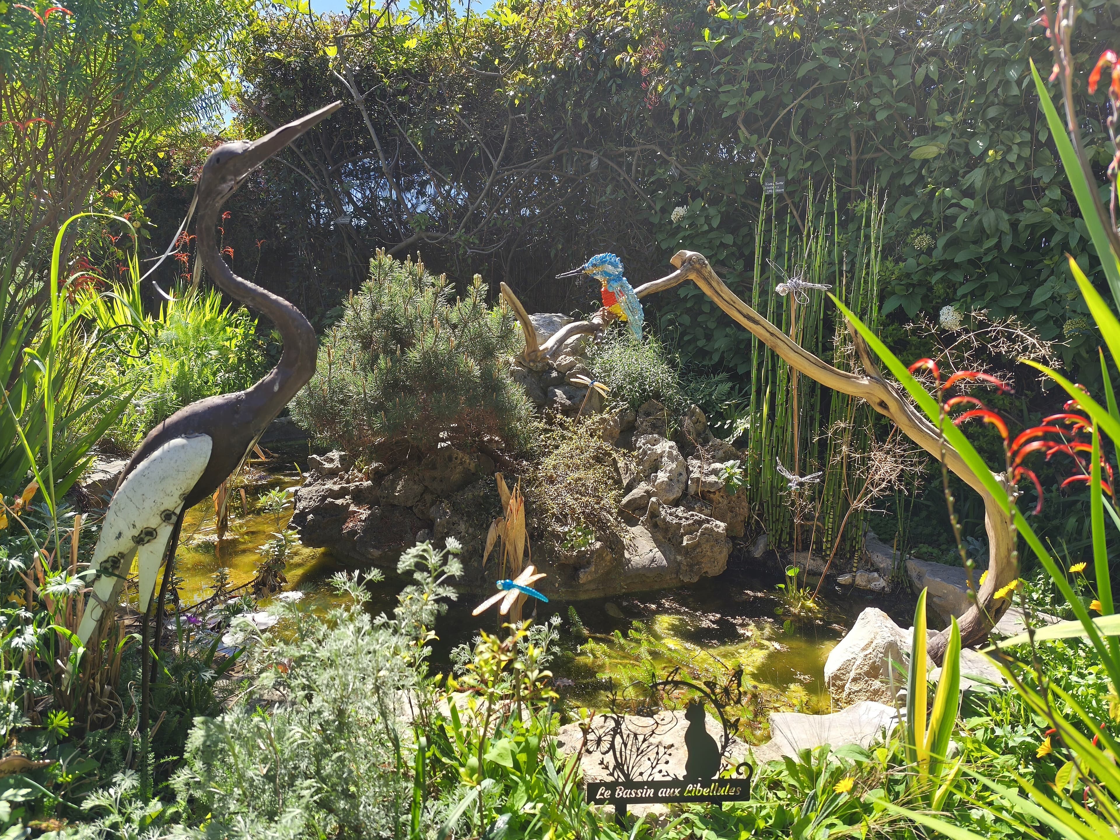 Visite du jardin botanique privé Sauvages et belles à croquer