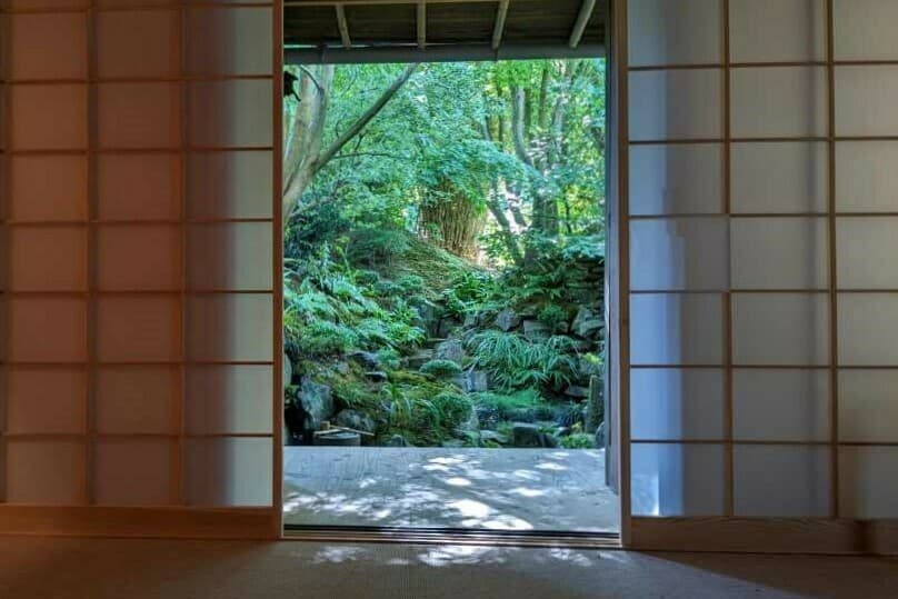 Visite d'un jardin de caractère, pour le thé japonais