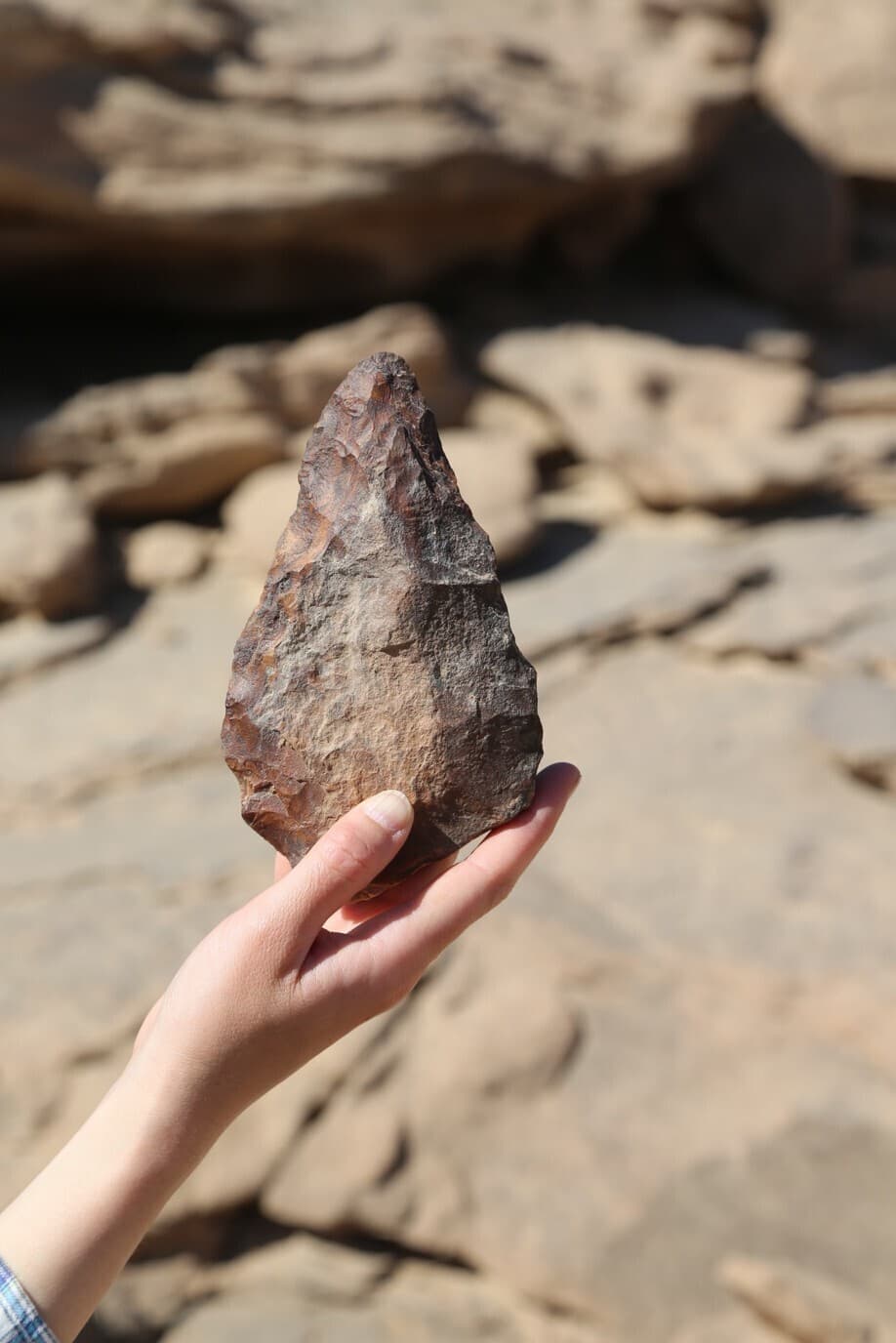 Wadi Abu Subeira : ce que le désert égyptien nous apprend sur la préhistoire