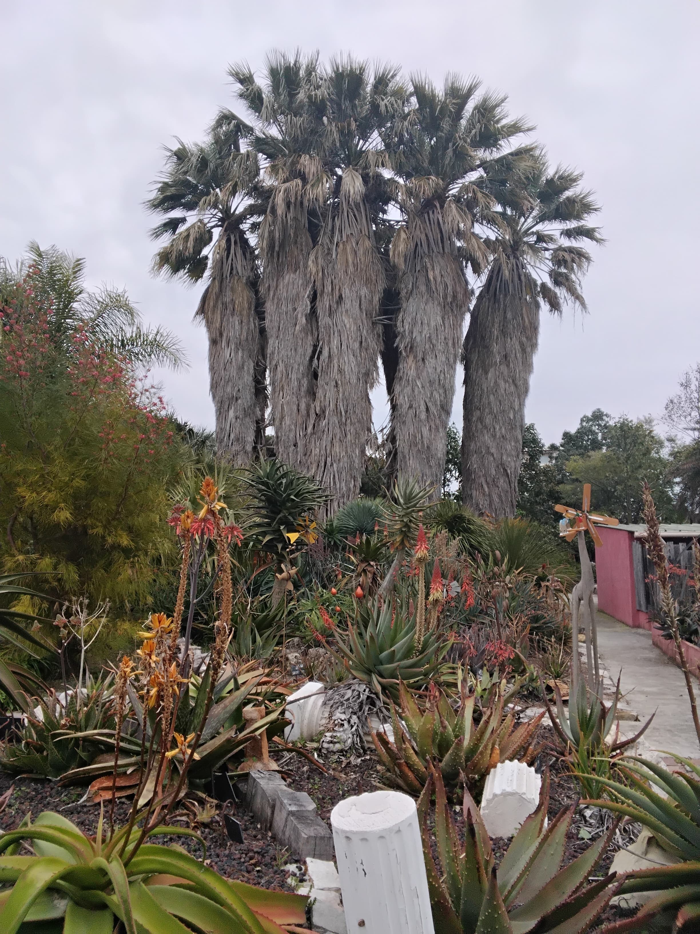 Visite d’un jardin exotique