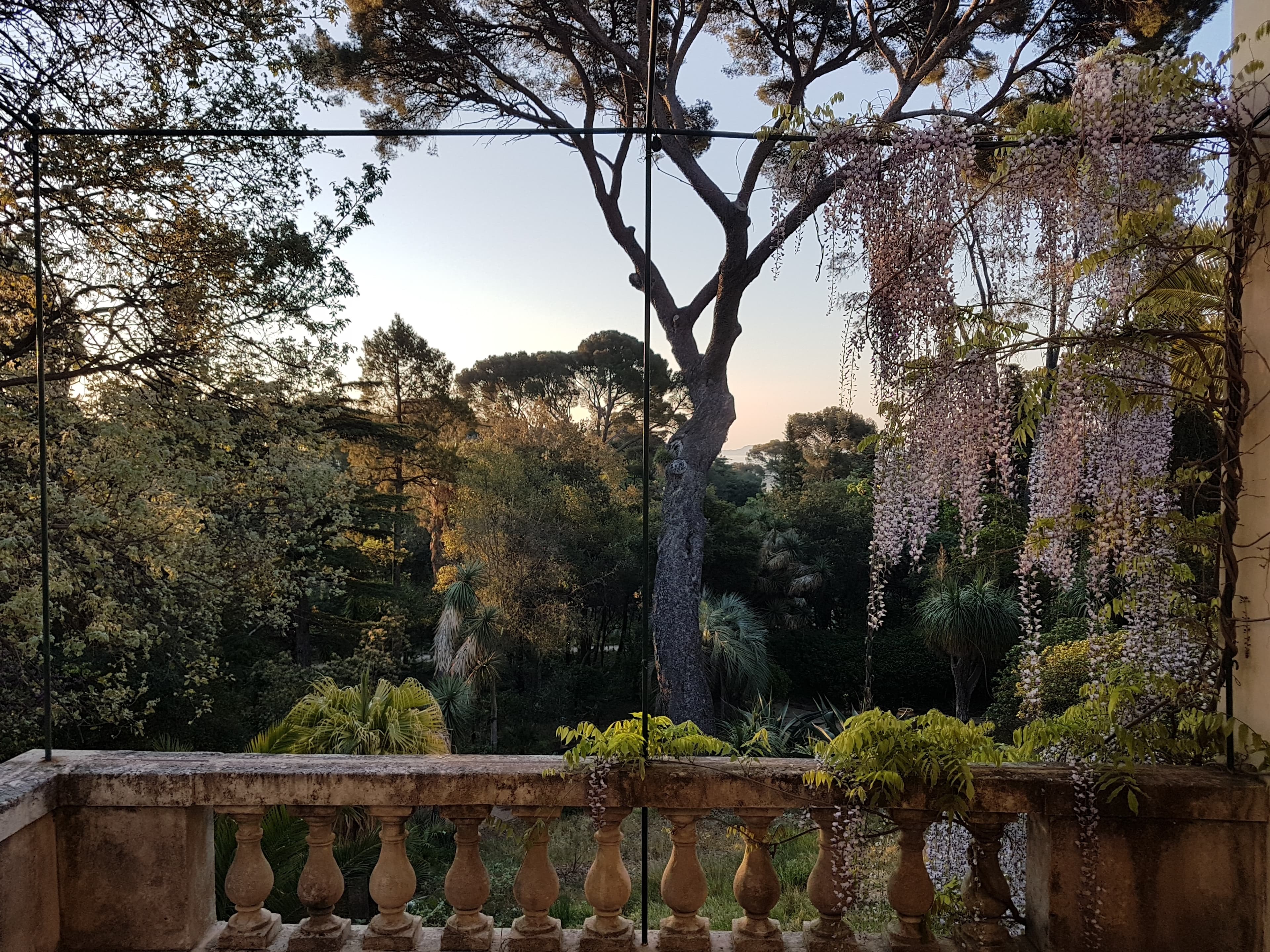 LE PLANTIER DE COSTEBELLE