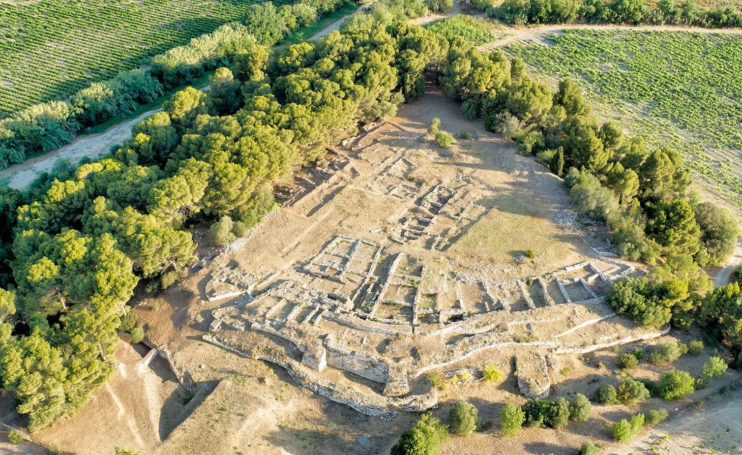 Visite Guidée
