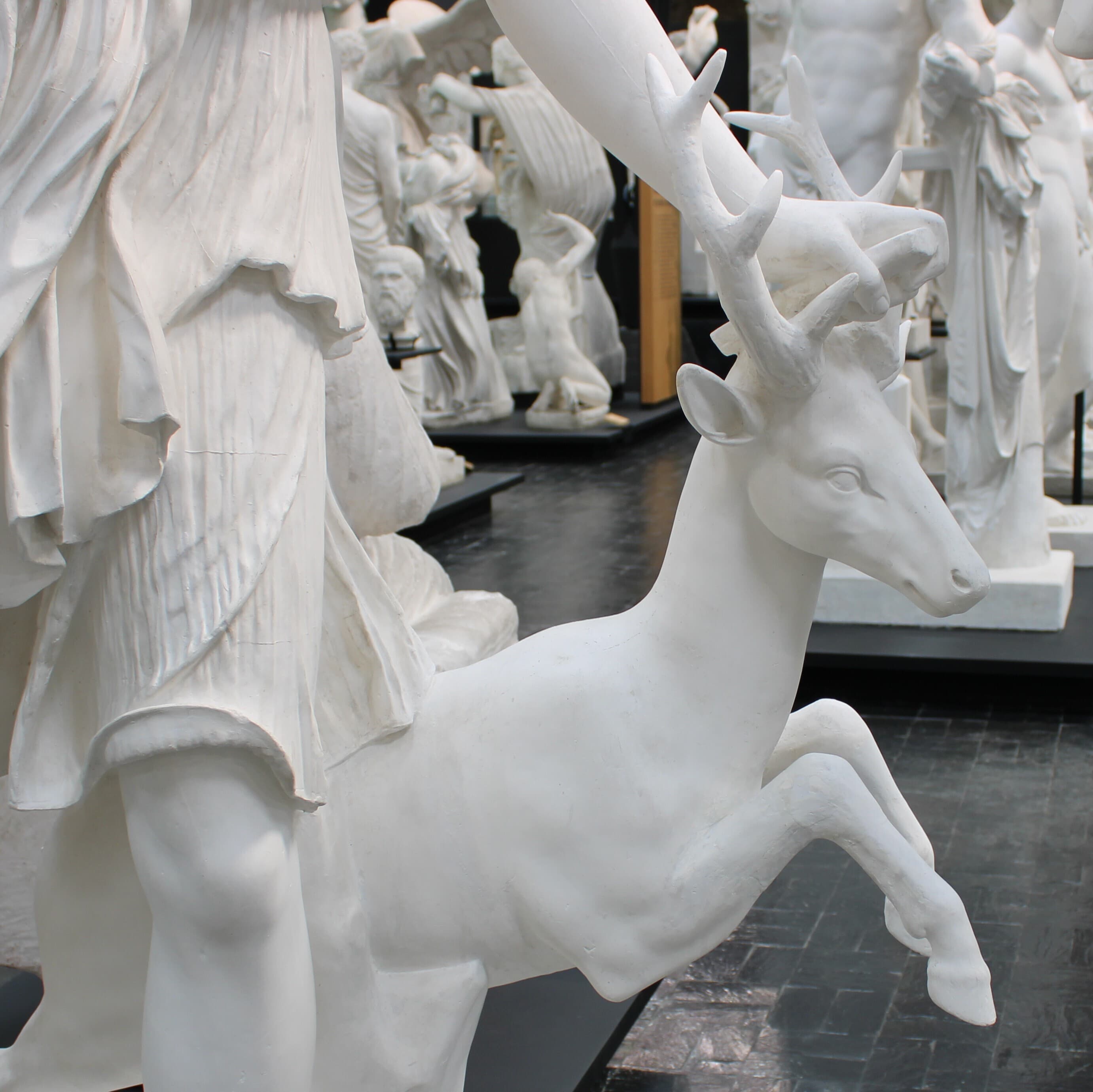 Atelier - Les animaux au musée