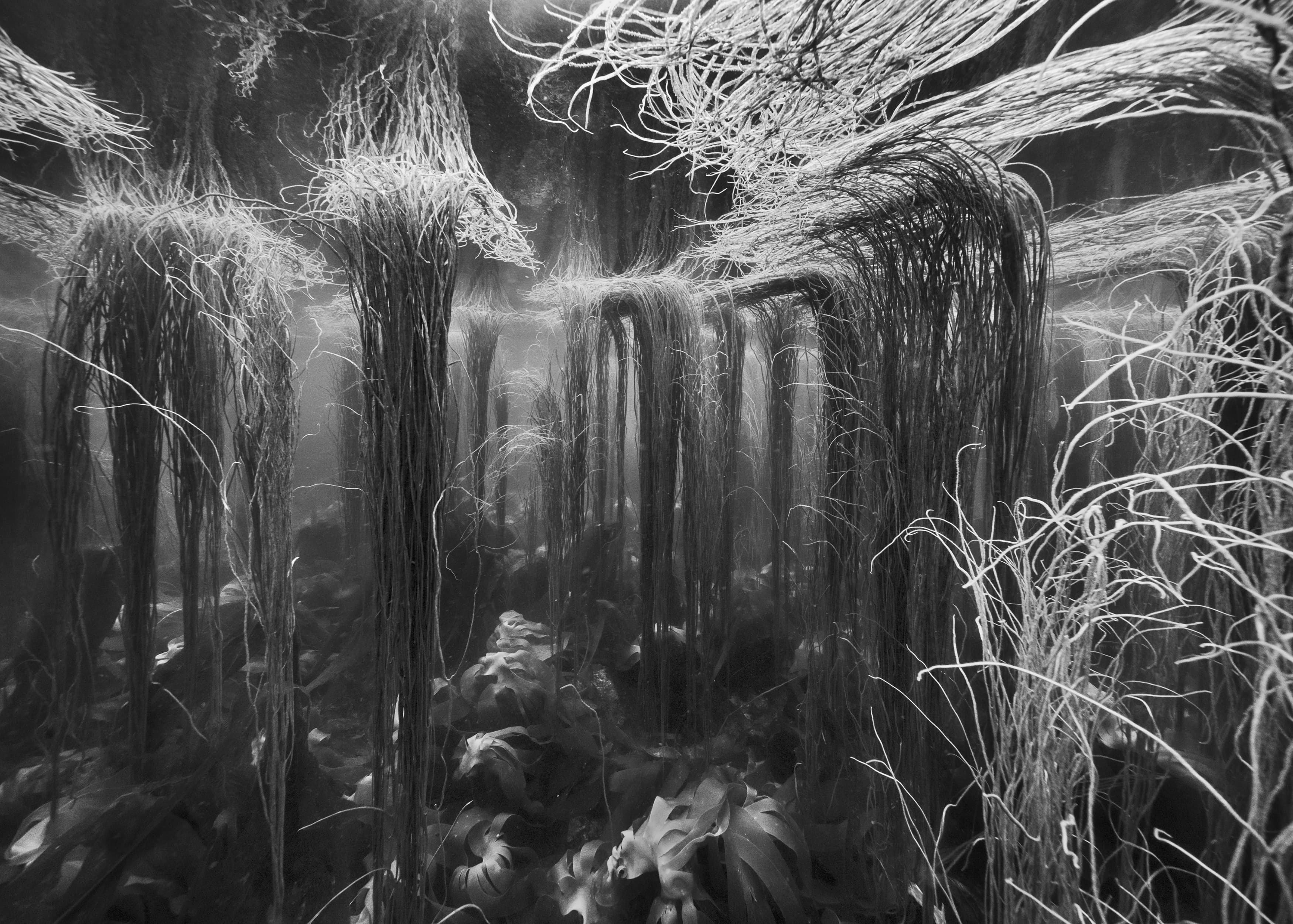 Visite sensorielle de l'exposition "Hydroscape" de Nicolas Floc'h