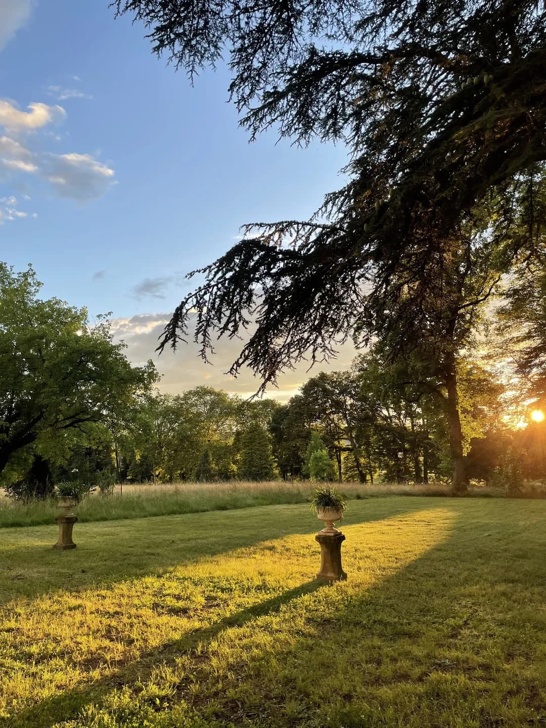 Visite guidée du parc de Sermange