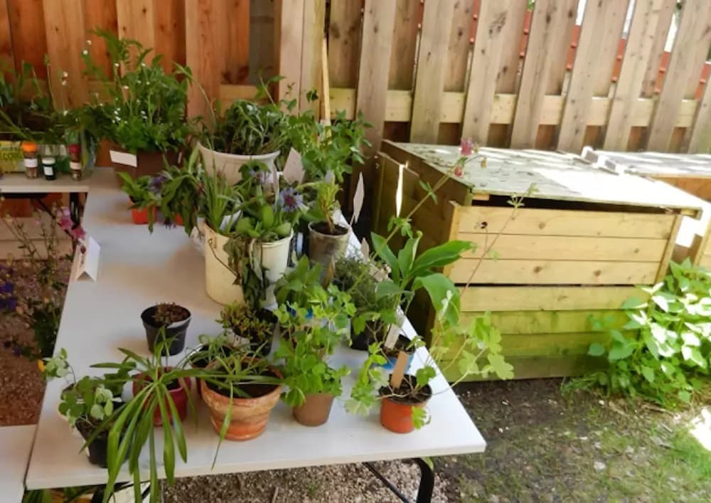 Troc de plants et de graines