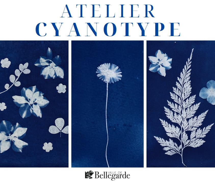 Atelier créatif végétal - Cyanotype