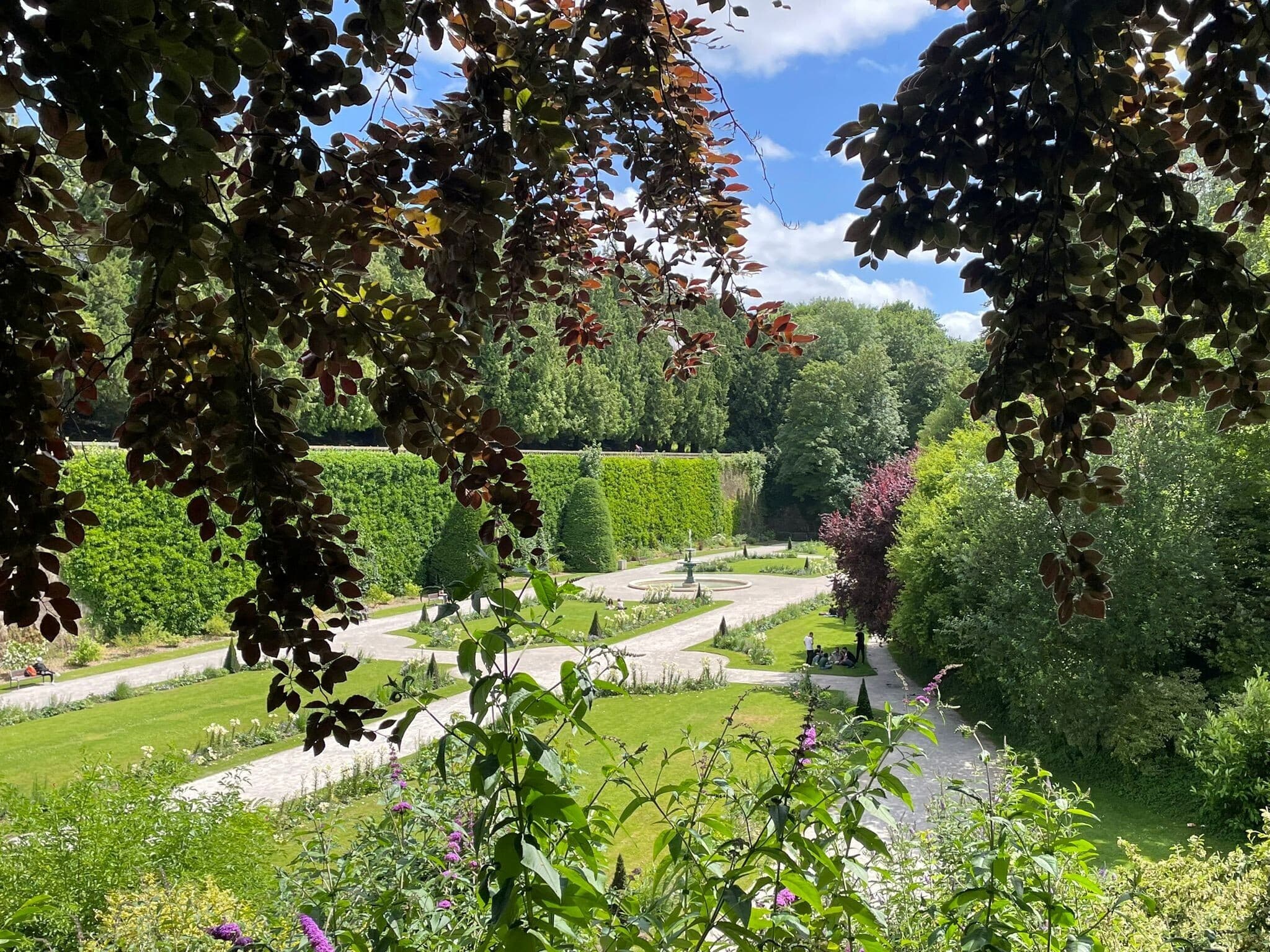 Visite guidée du jardin public de Saint-Omer