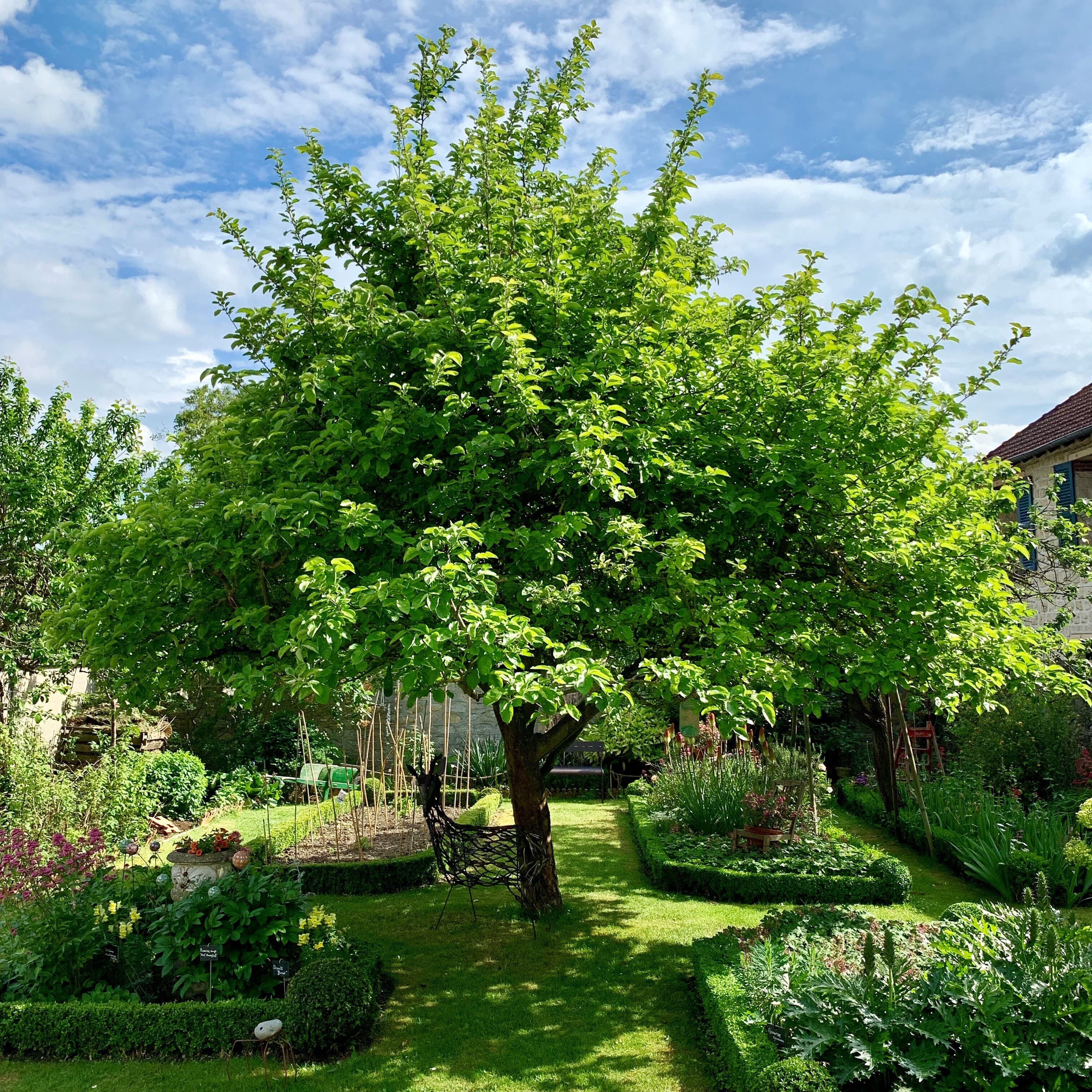 Expositions au jardin de la citadelle