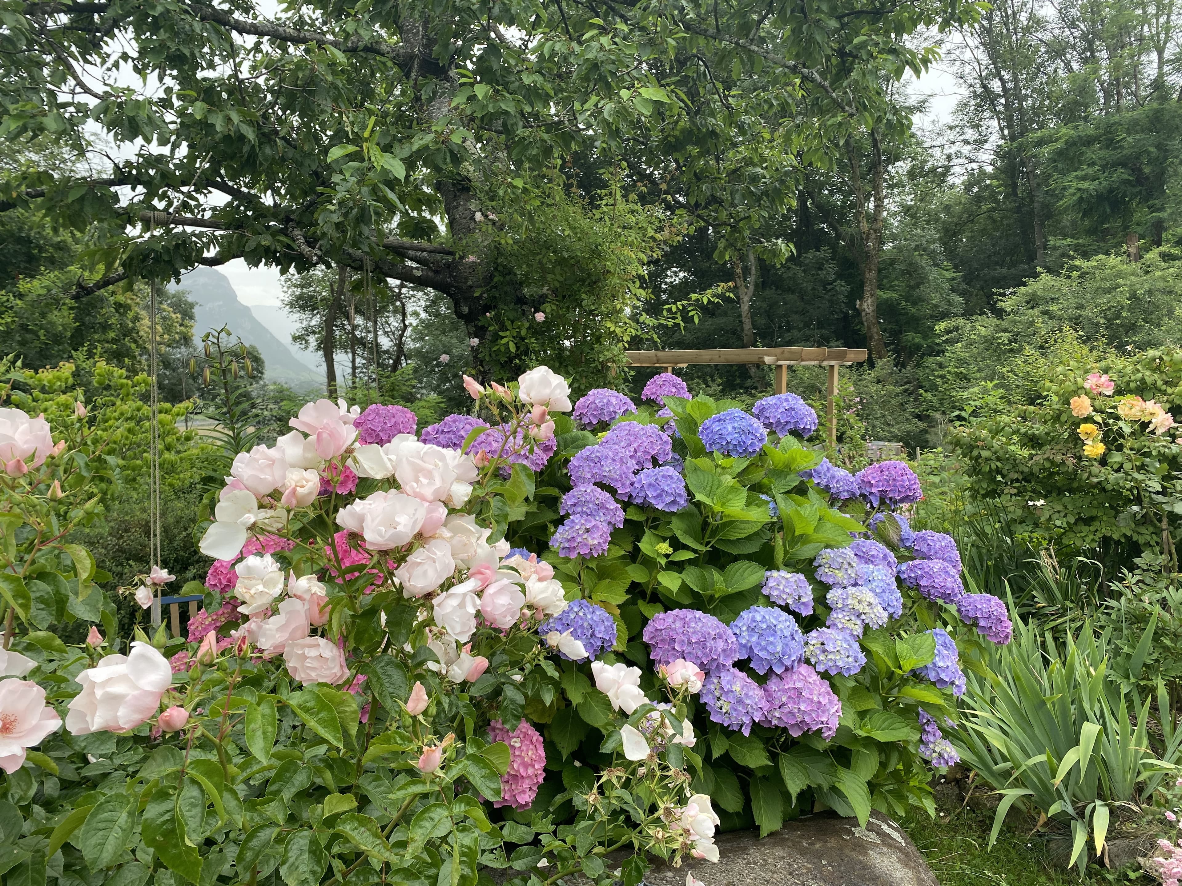 Le Jardin sur la Moraine                           visites  au profit de l’association                Jardins & Santé